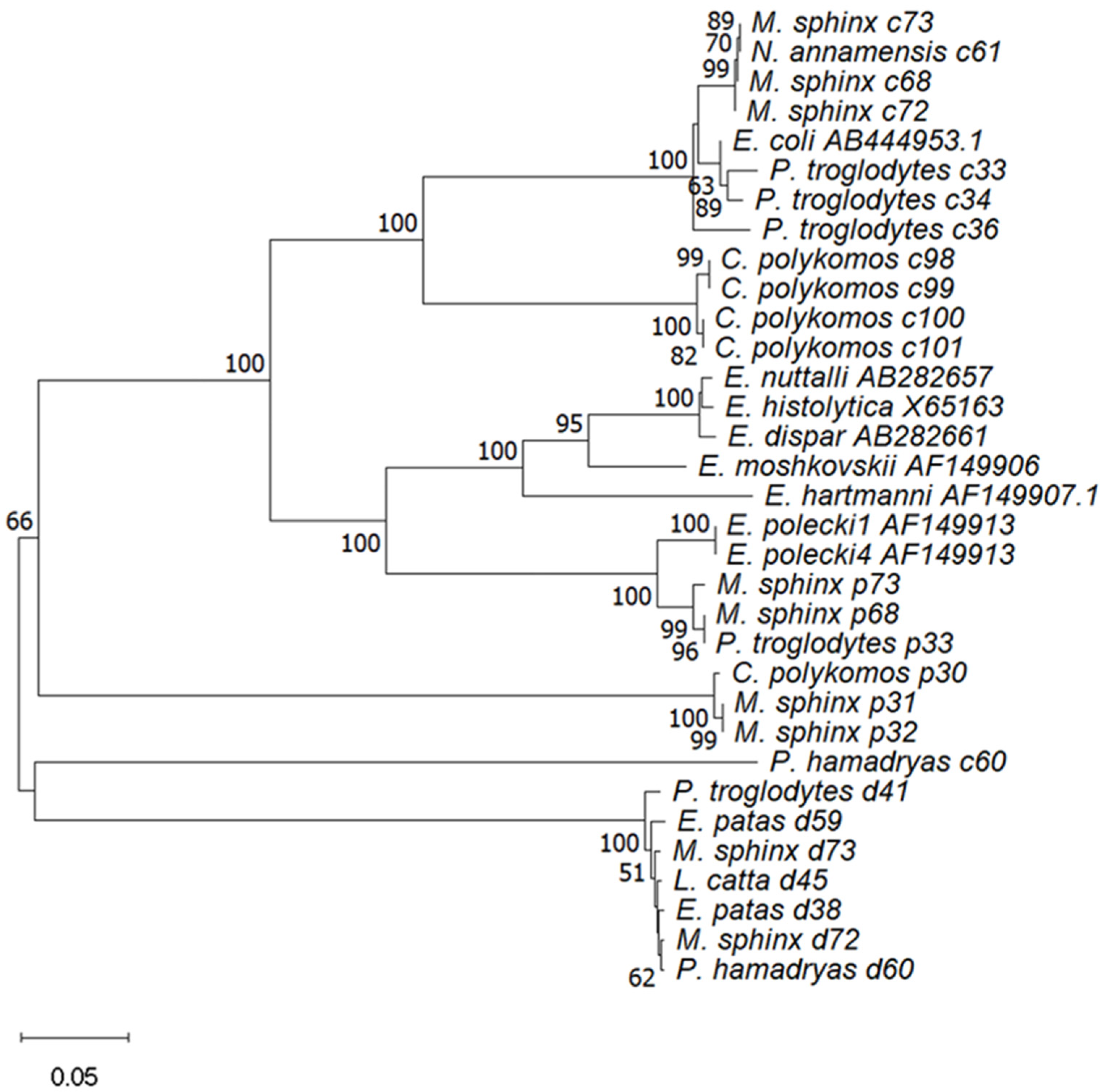 Vetsci 11 00590 g001