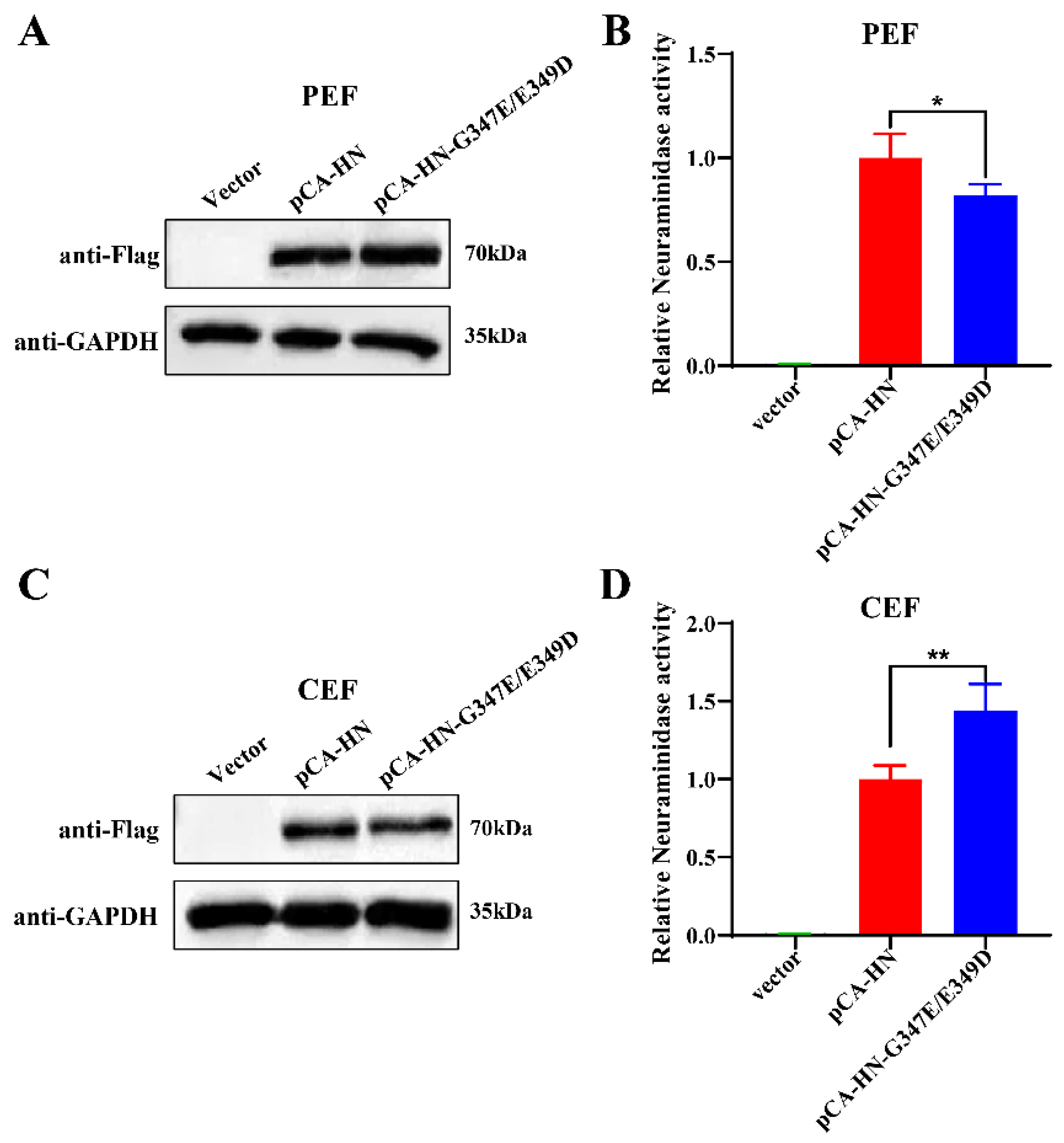 Vetsci 11 00592 g004 Vetsci 11 00592 g004