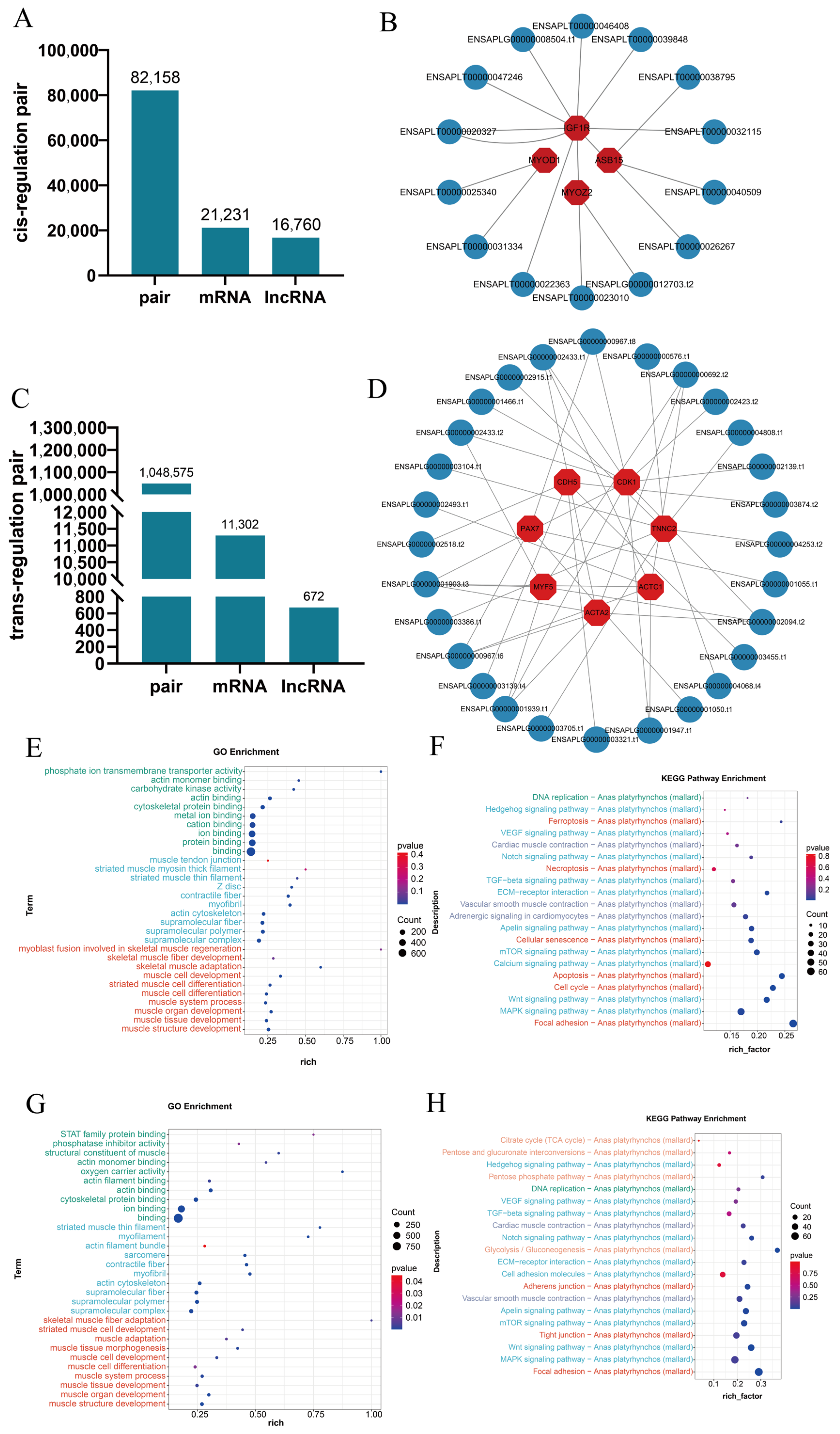 Vetsci 11 00601 g004