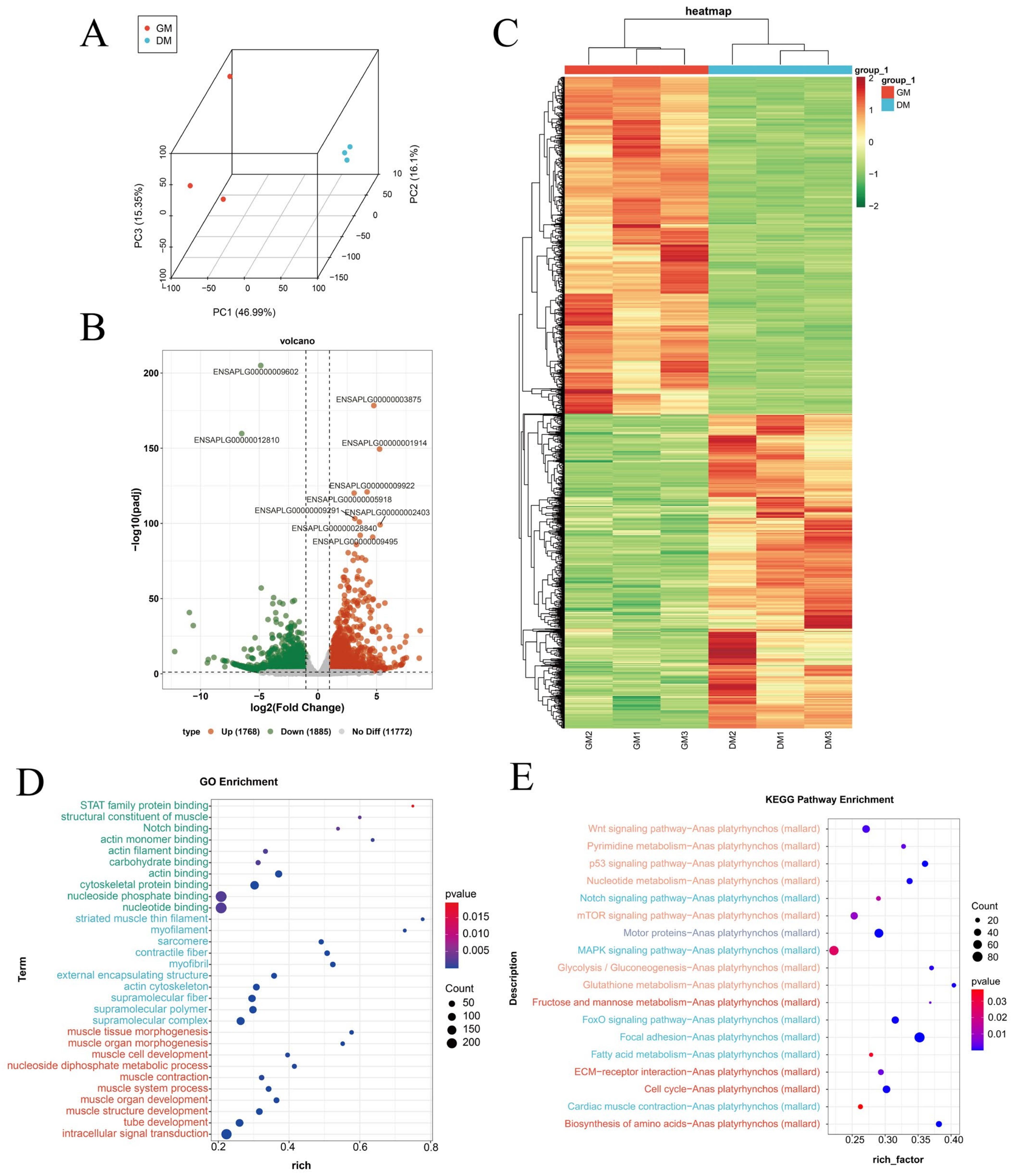 Vetsci 11 00601 g005