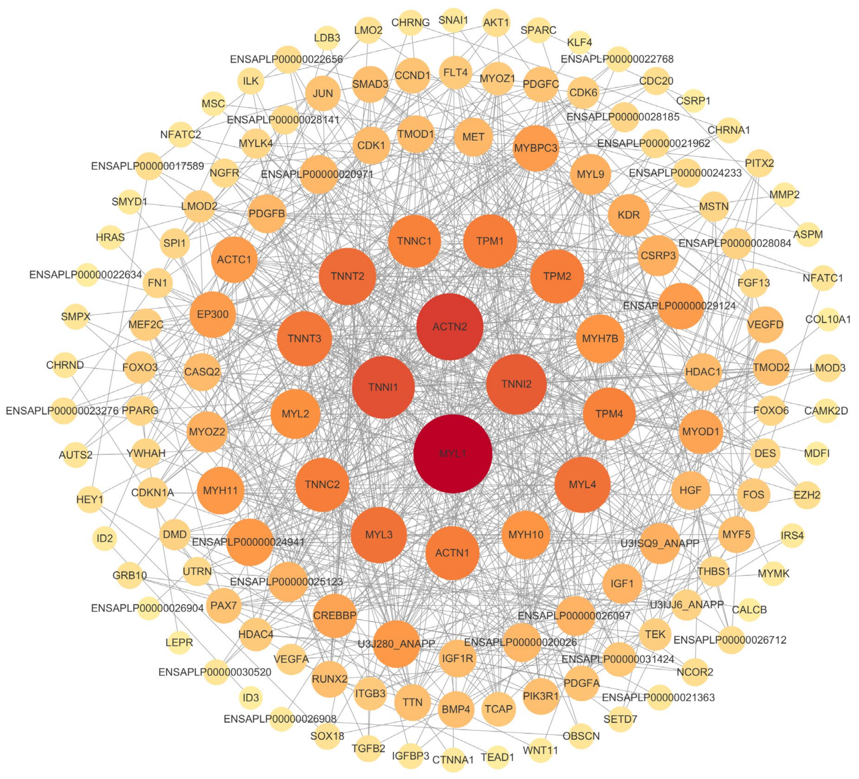 Vetsci 11 00601 g006