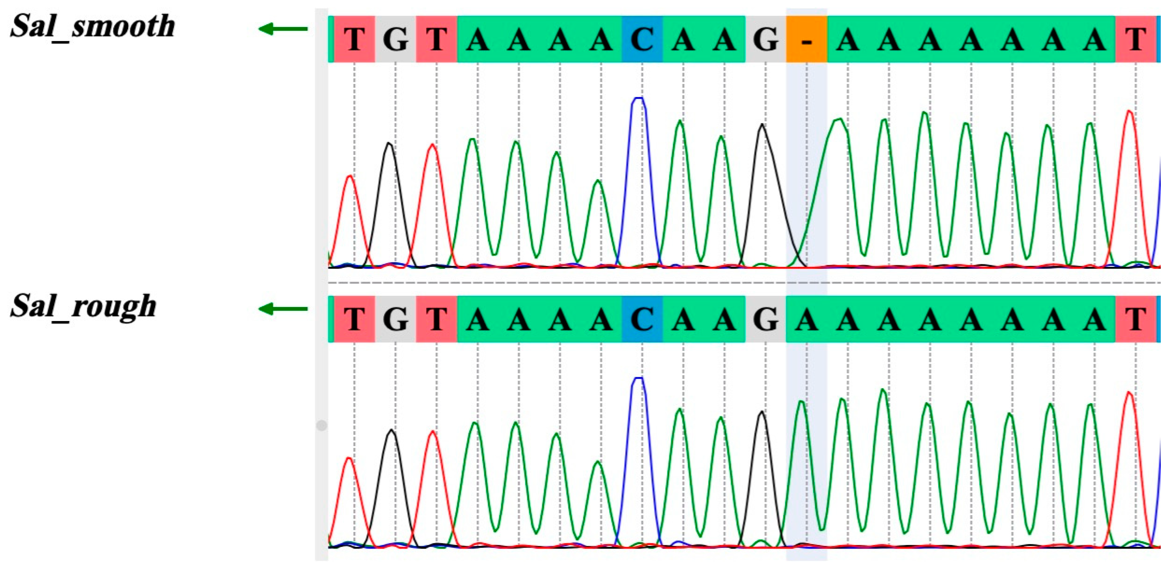 Vetsci 11 00603 g002