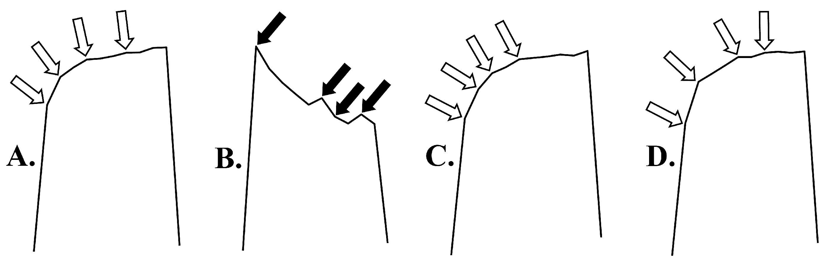 Vetsci 11 00605 g008