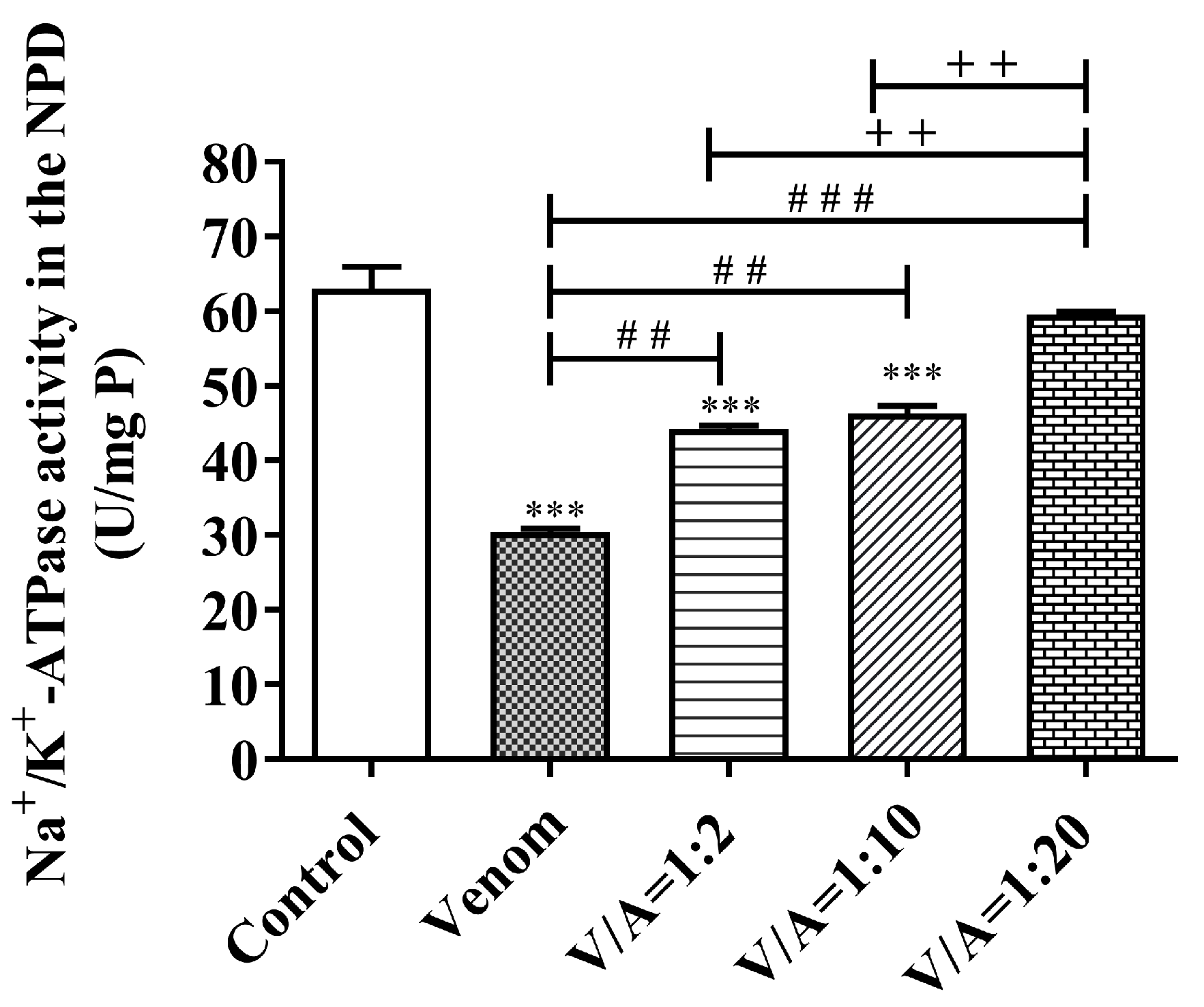 Vetsci 11 00605 g010