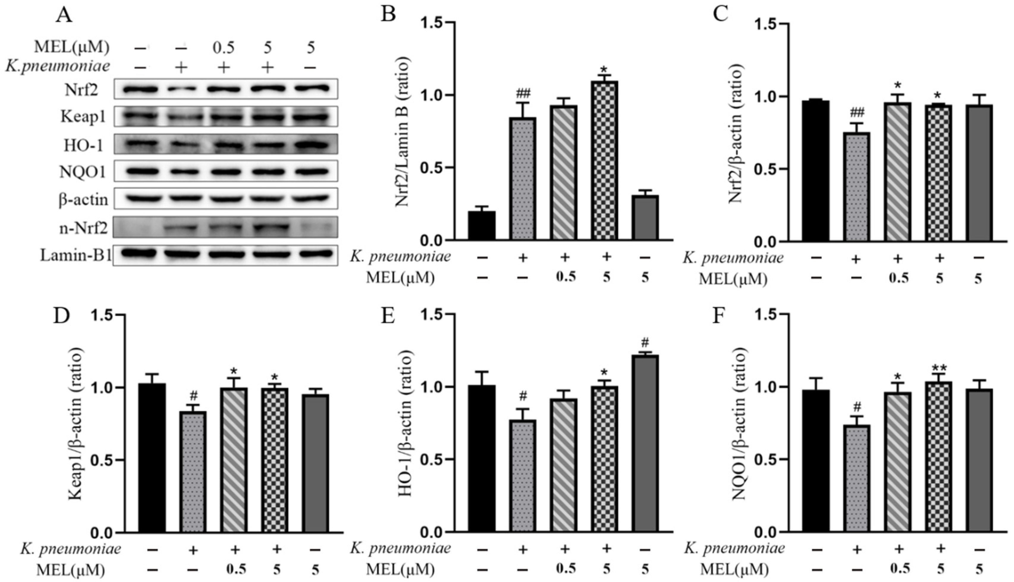 Vetsci 11 00607 g009
