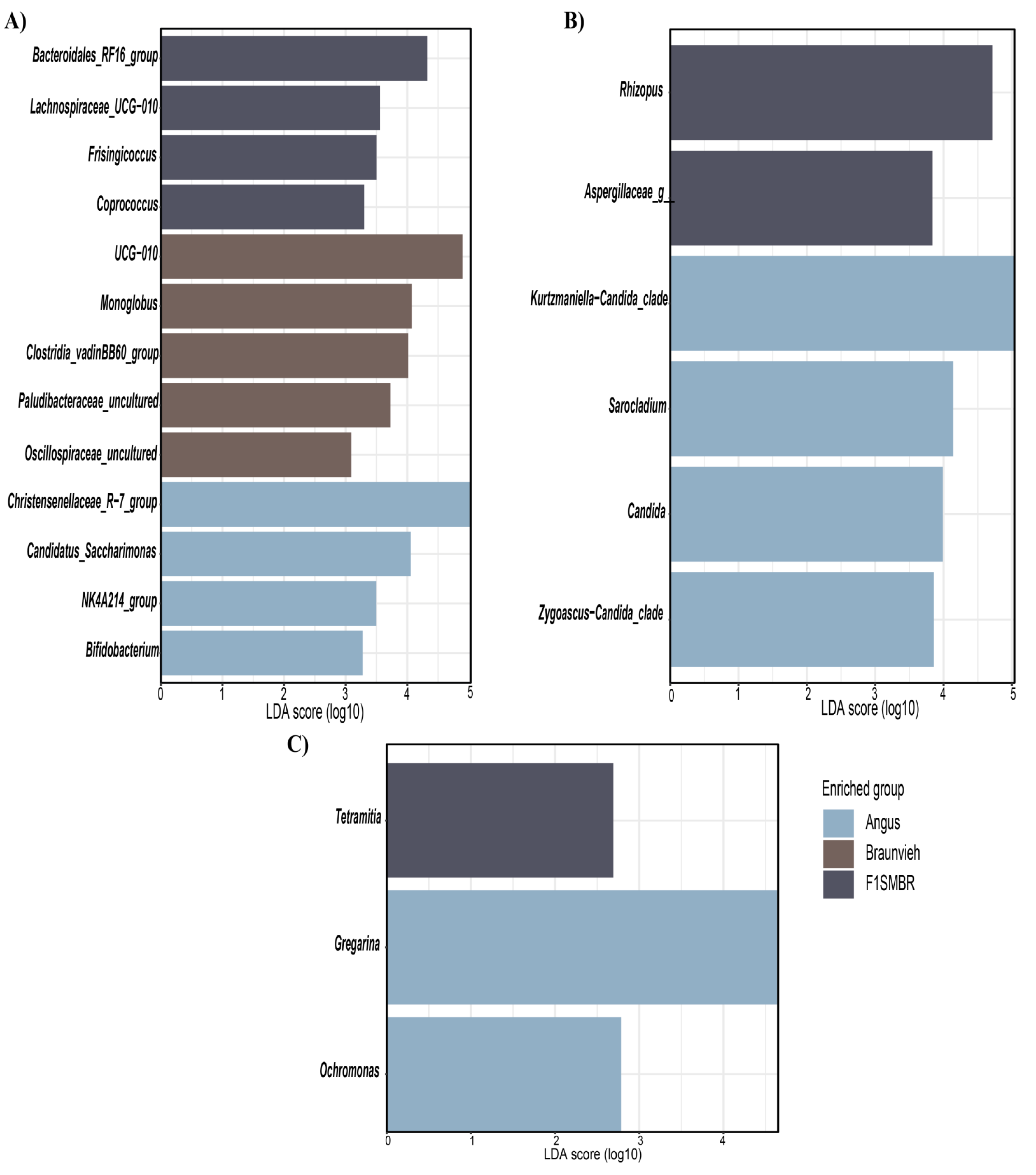 Vetsci 11 00608 g005