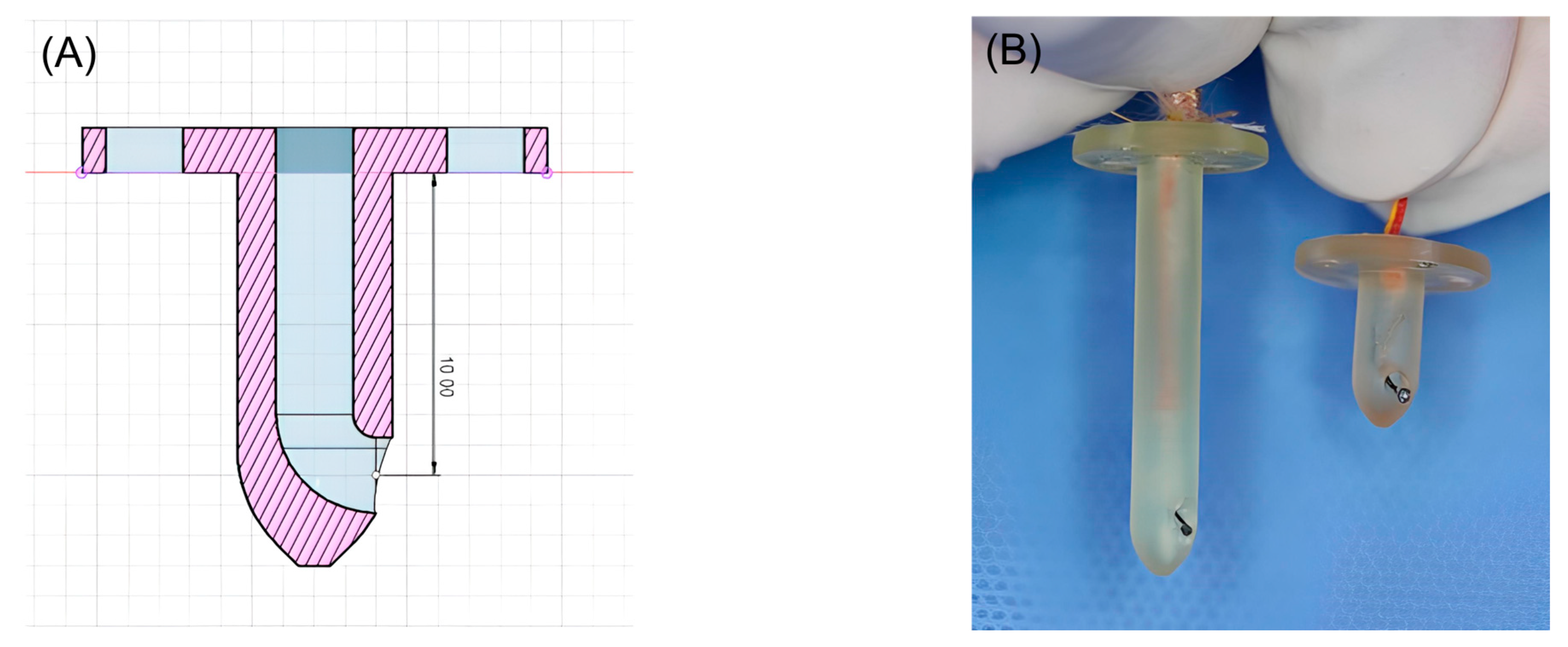 Vetsci 11 00613 g001