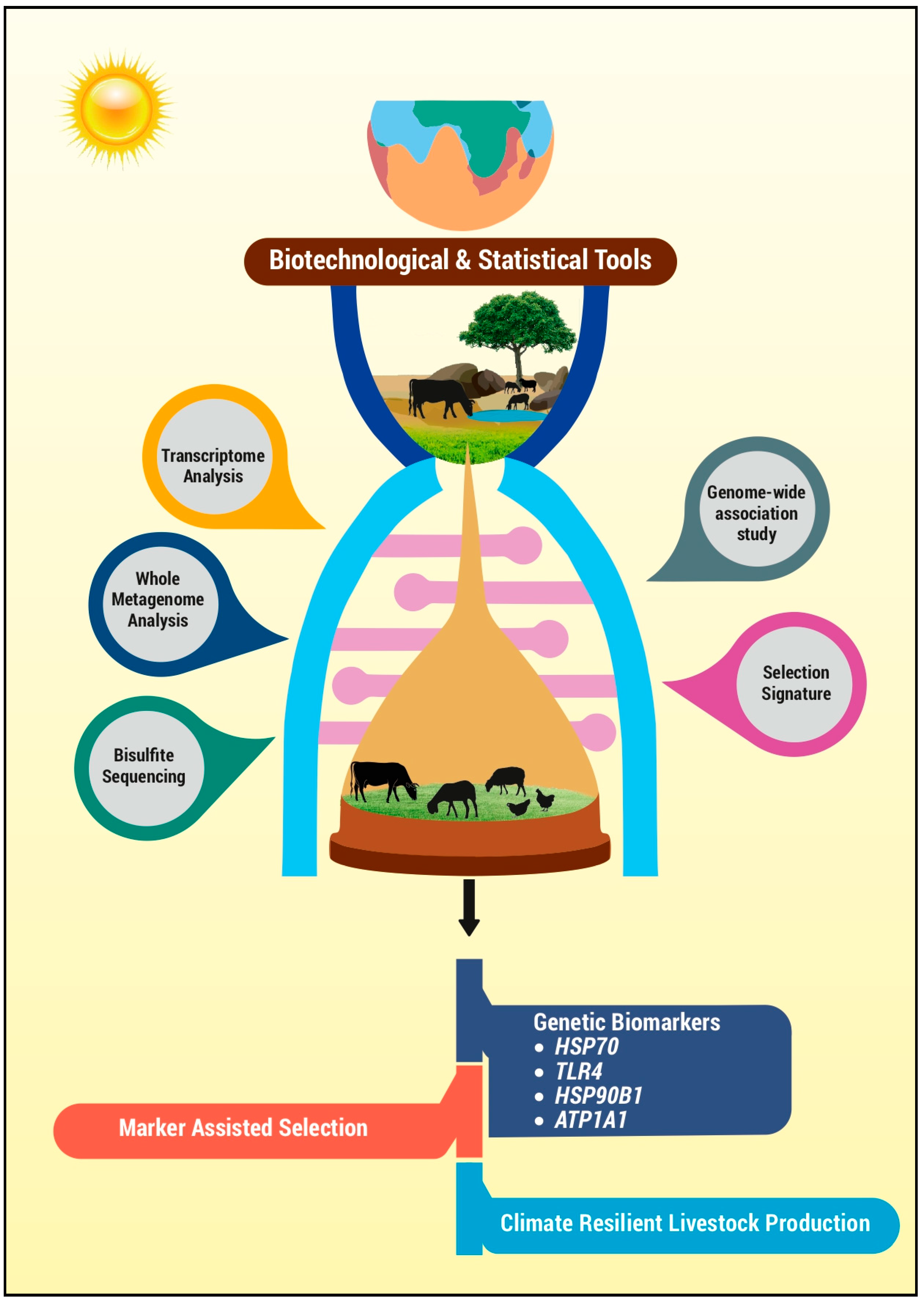 Vetsci 11 00616 g001 Vetsci 11 00616 g001