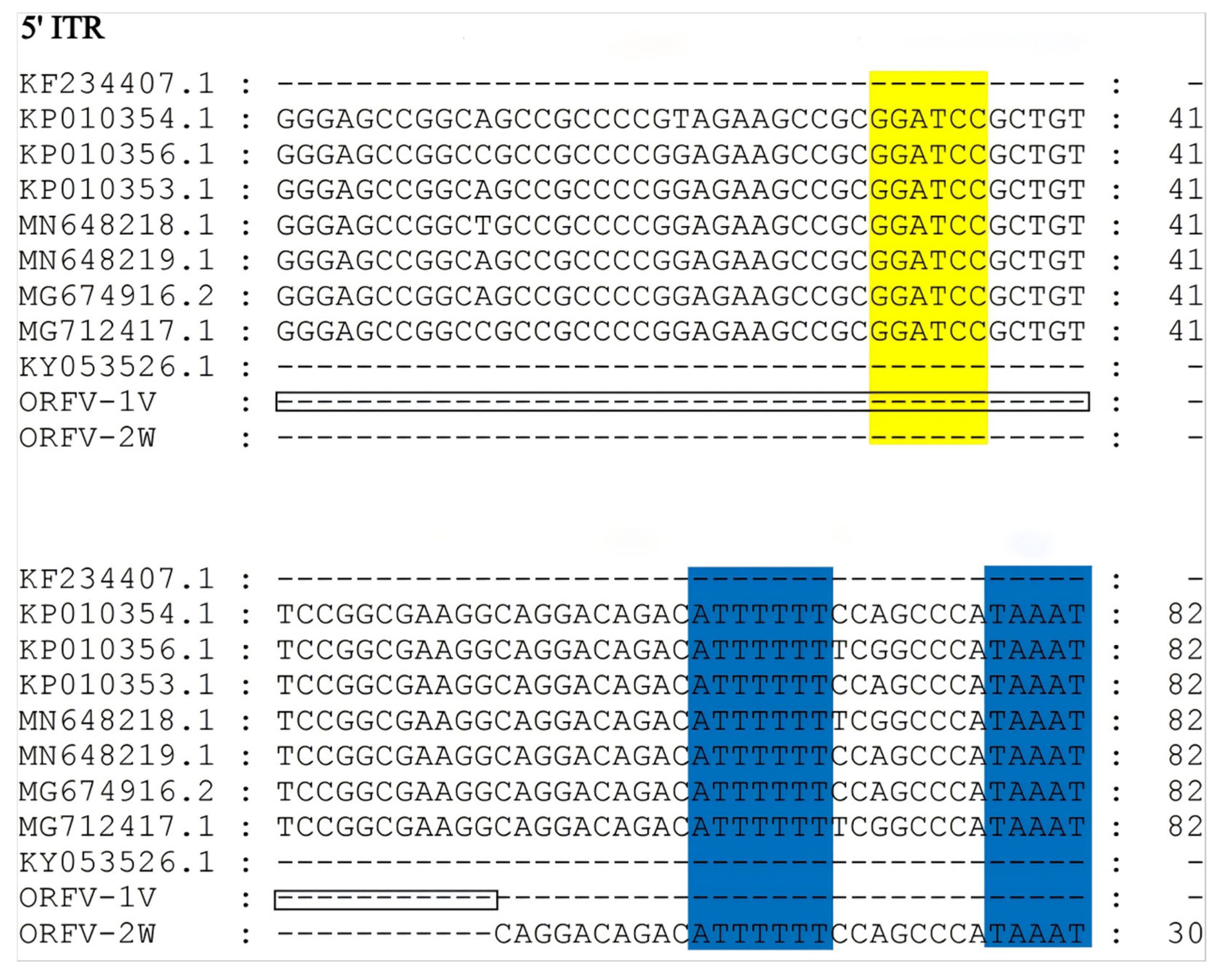Vetsci 11 00617 g003