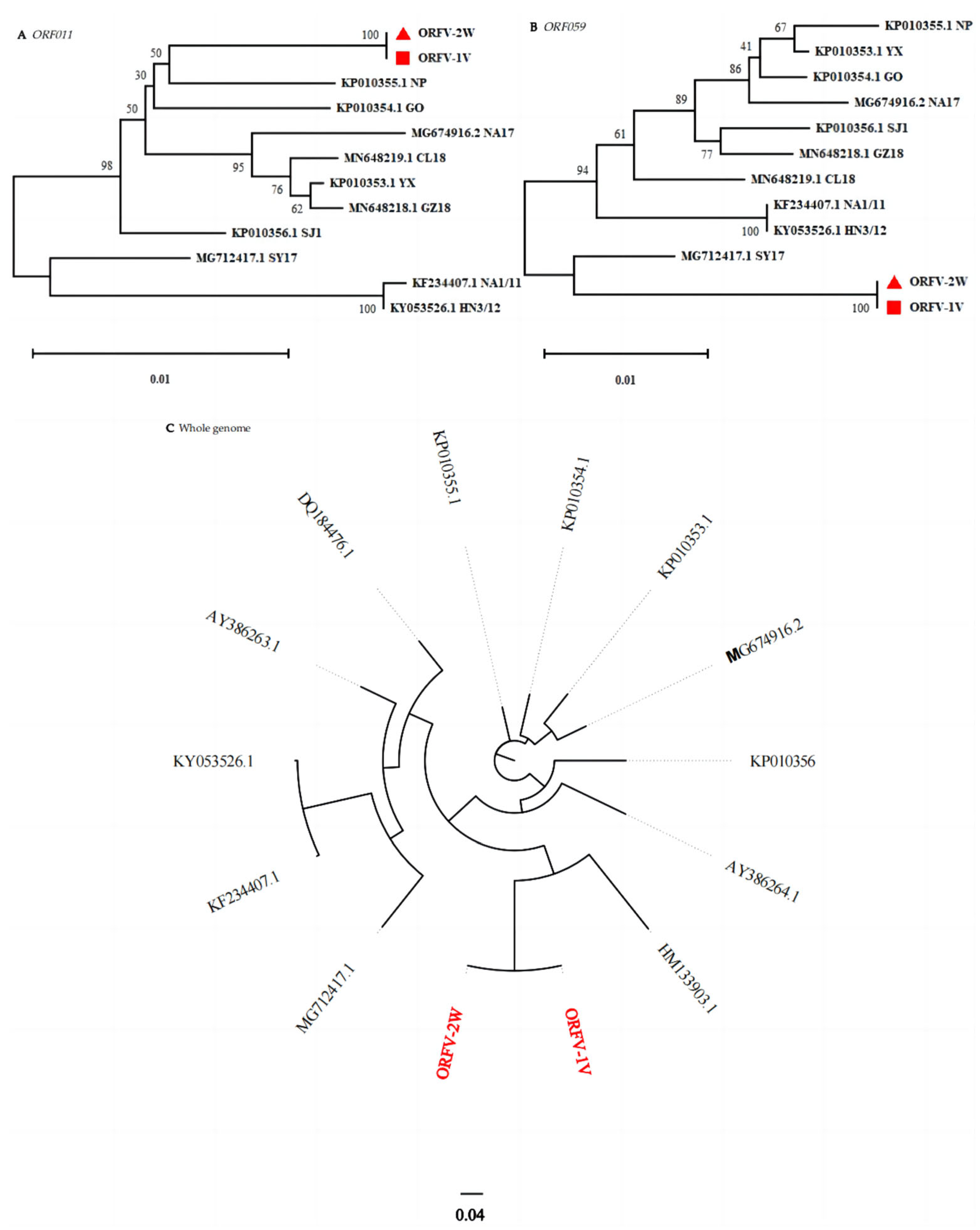 Vetsci 11 00617 g004