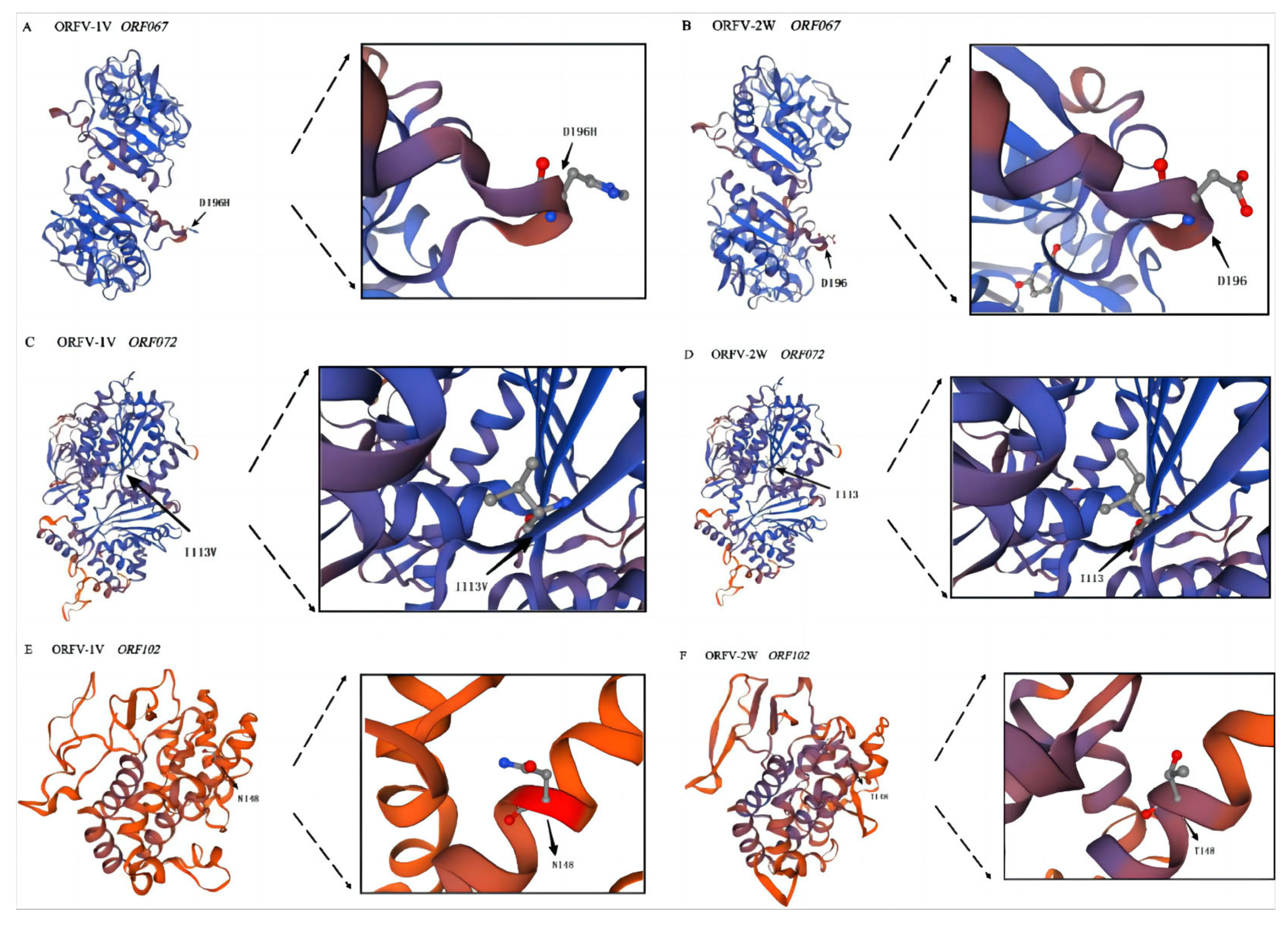 Vetsci 11 00617 g006