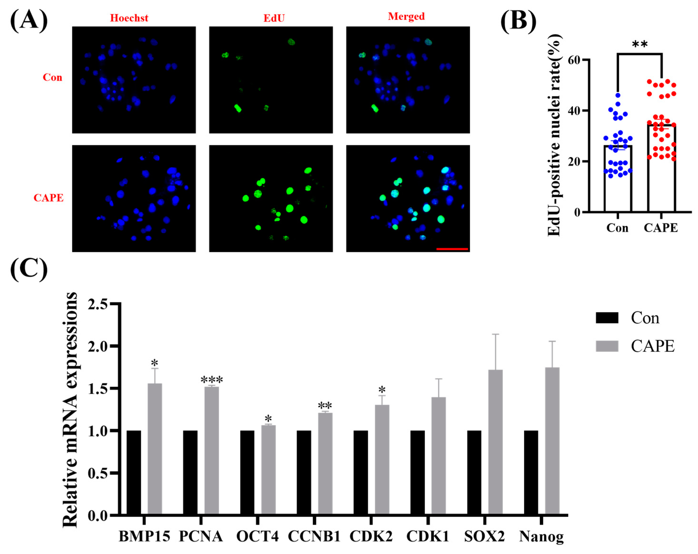 Vetsci 11 00625 g002