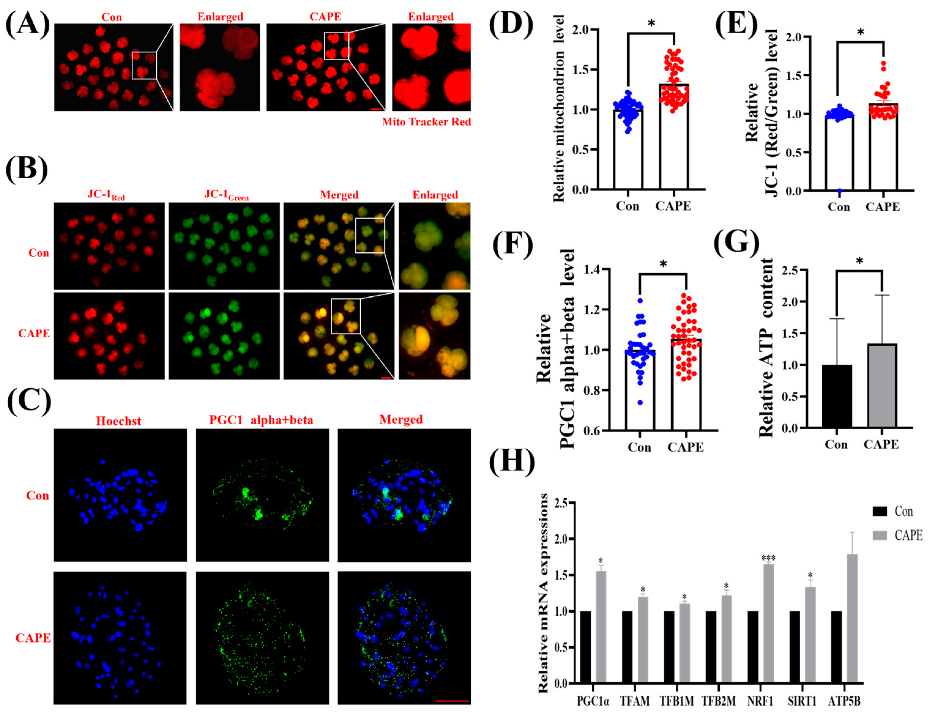 Vetsci 11 00625 g004