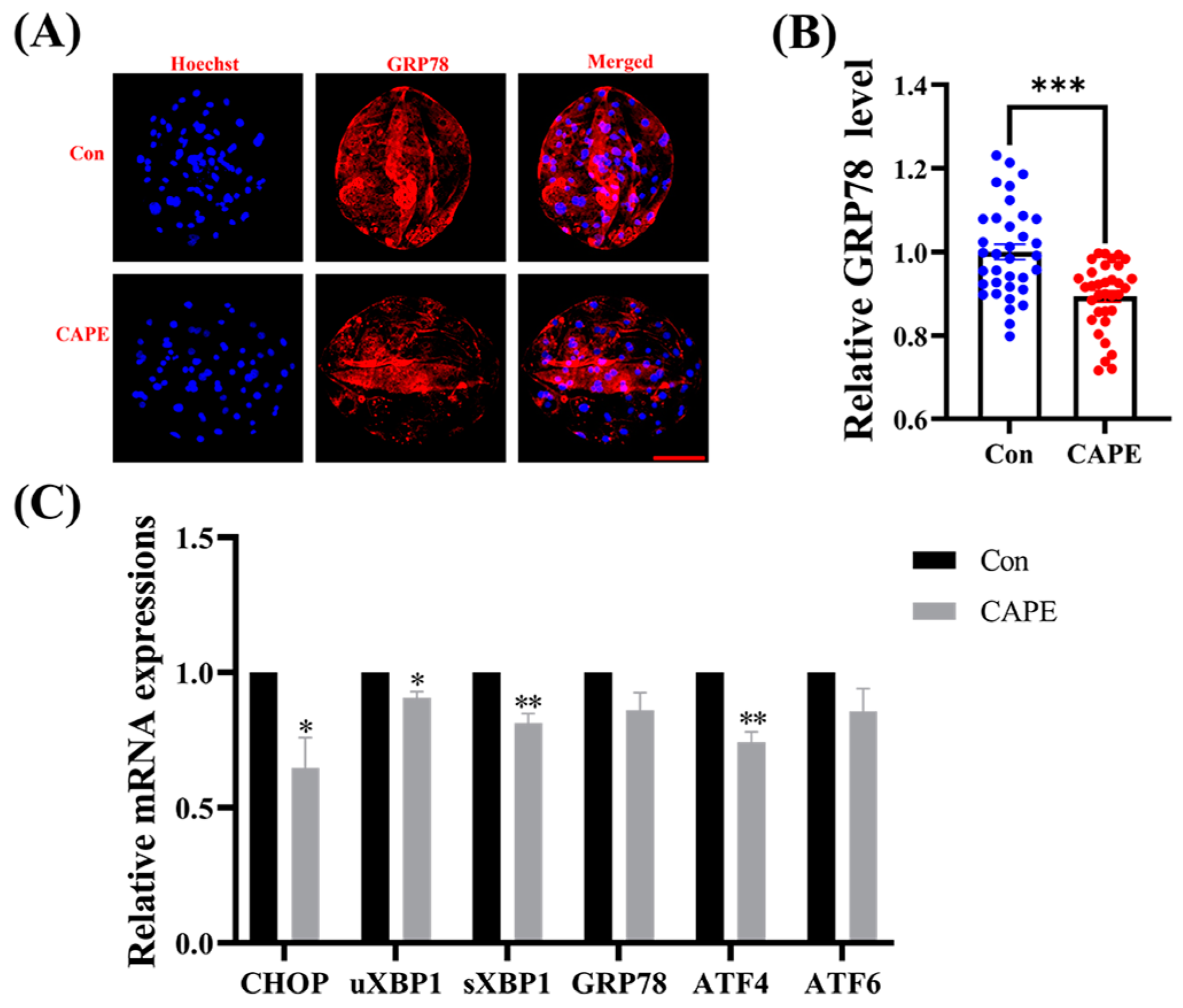 Vetsci 11 00625 g005