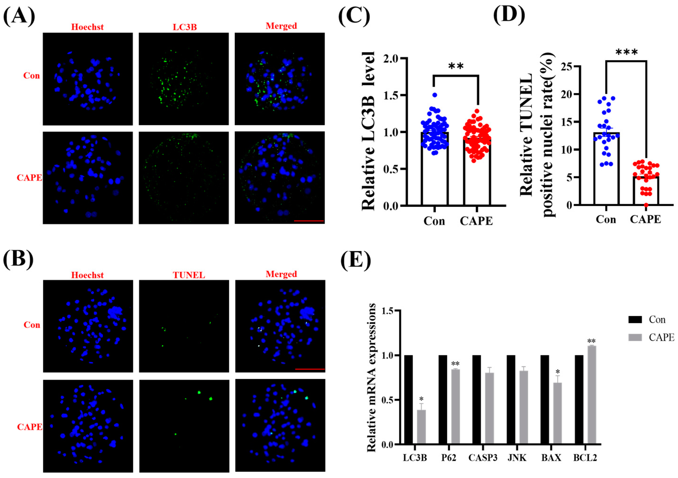 Vetsci 11 00625 g006