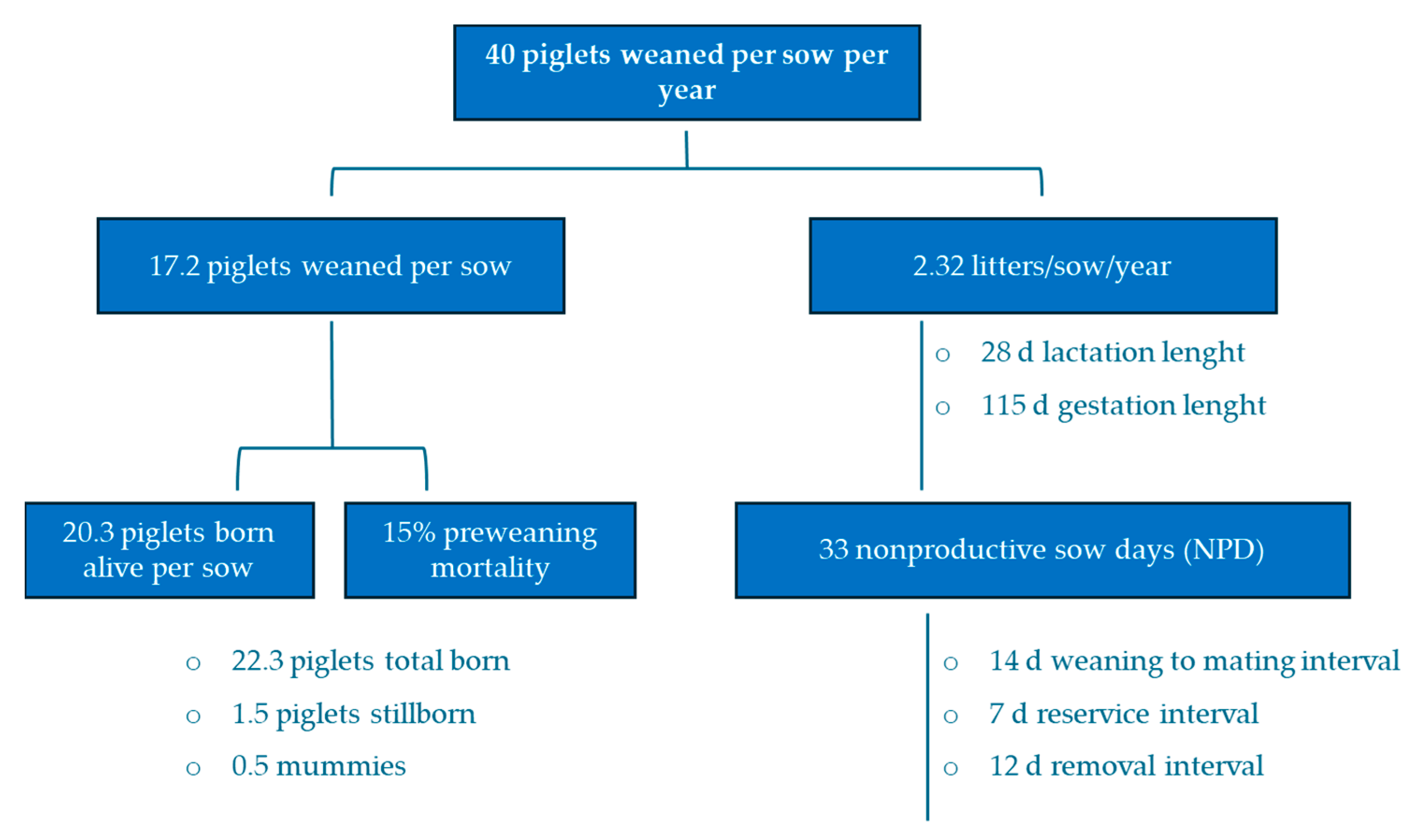 Vetsci 11 00626 g006