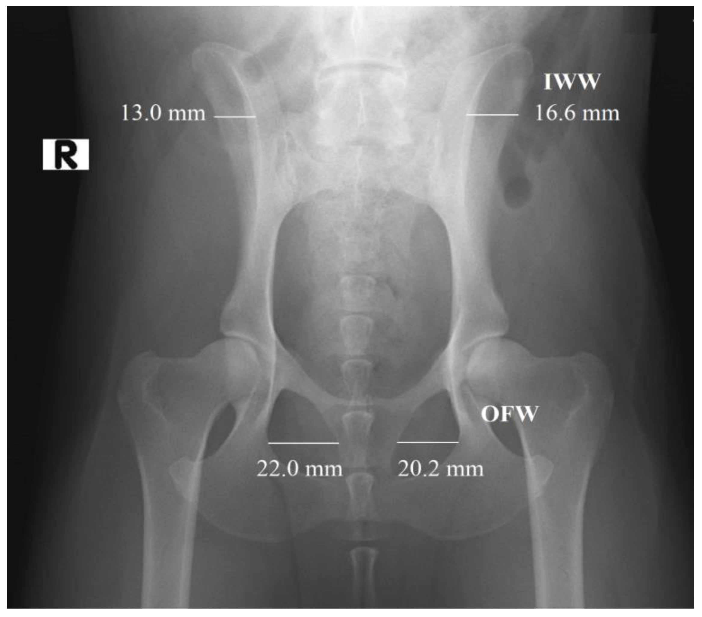 Vetsci 11 00630 g001