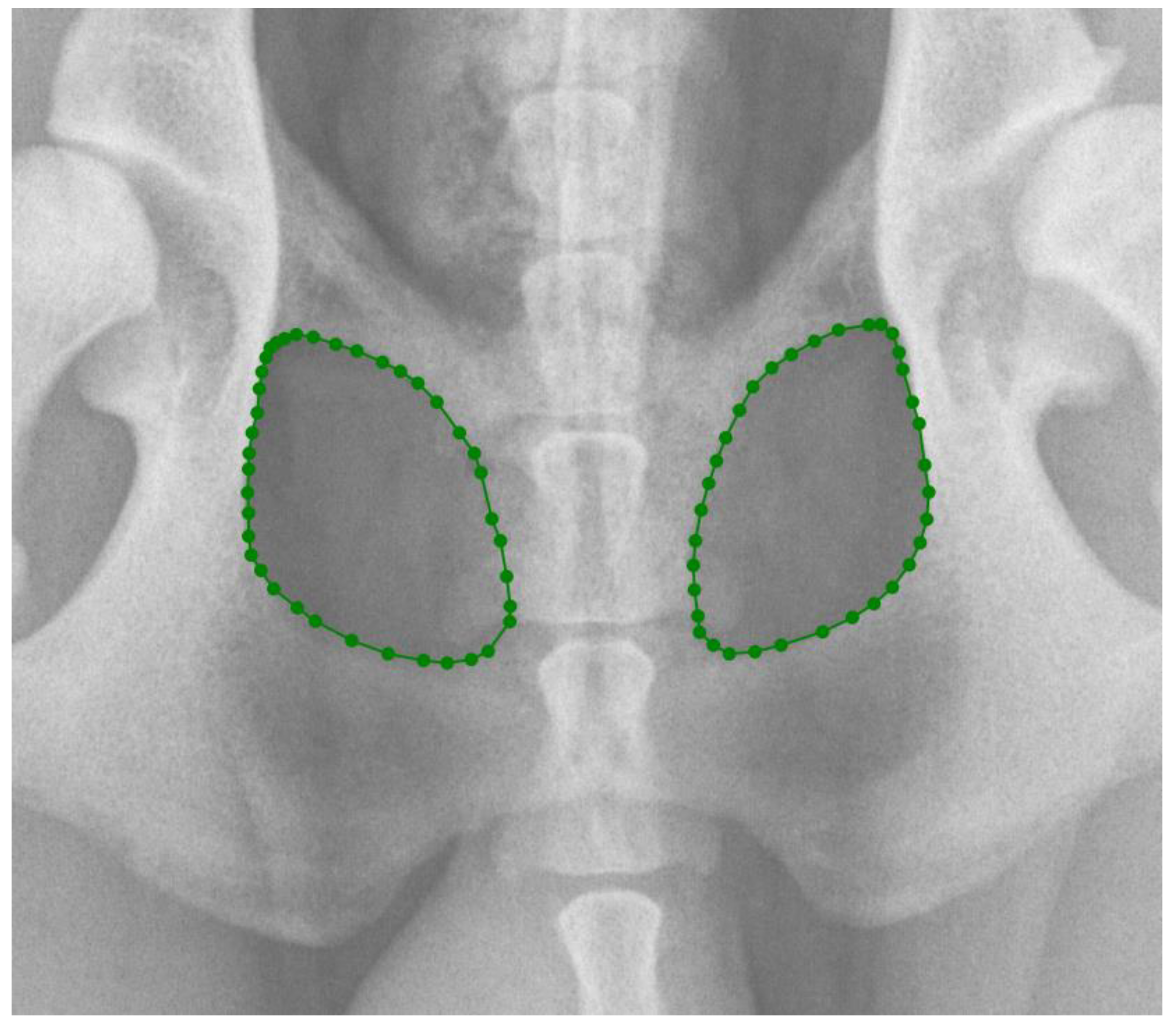 Vetsci 11 00630 g002