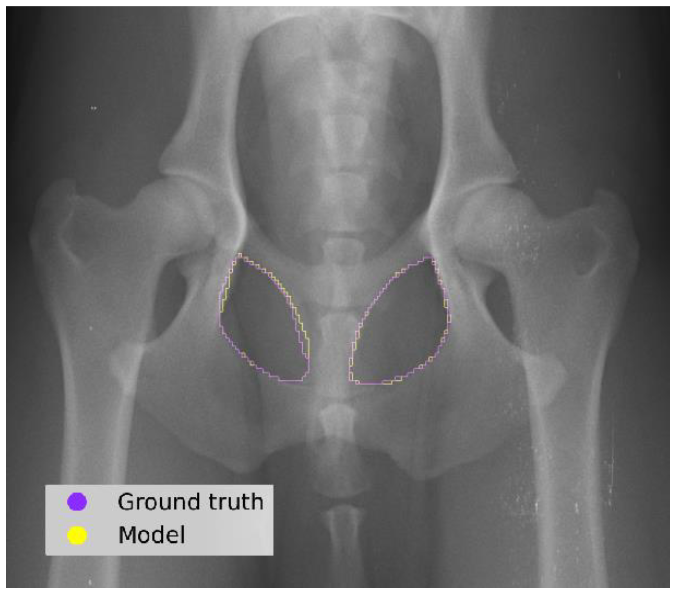 Vetsci 11 00630 g004