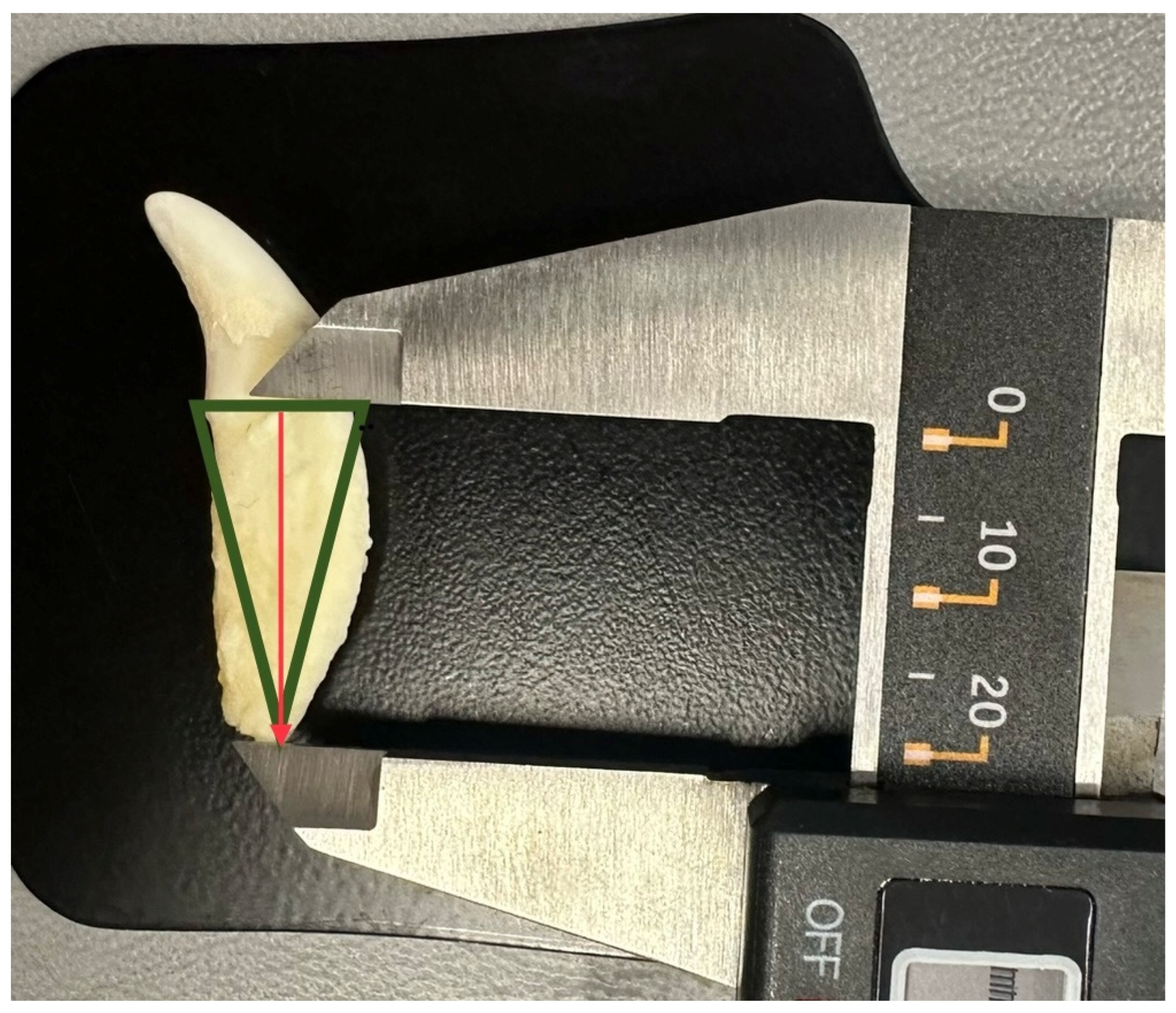 Vetsci 11 00633 g002