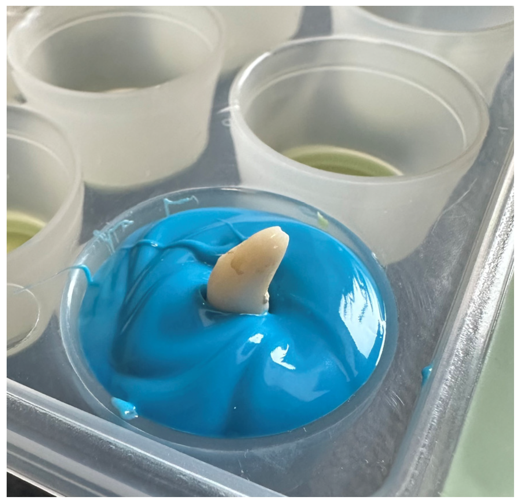 Vetsci 11 00633 g003