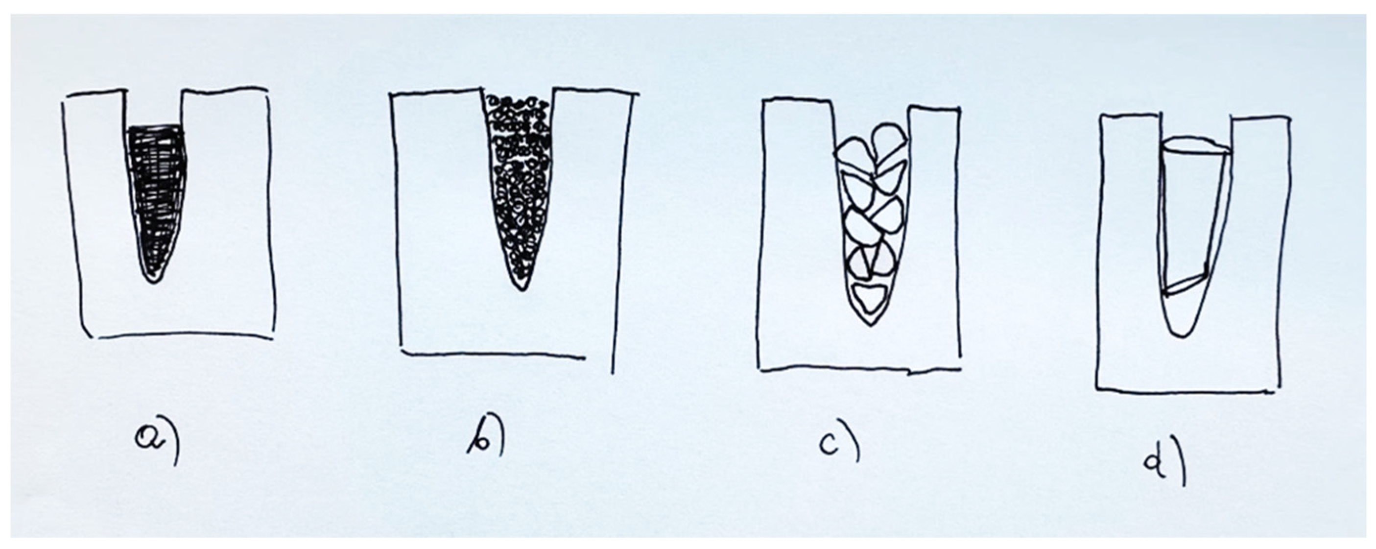 Vetsci 11 00633 g011