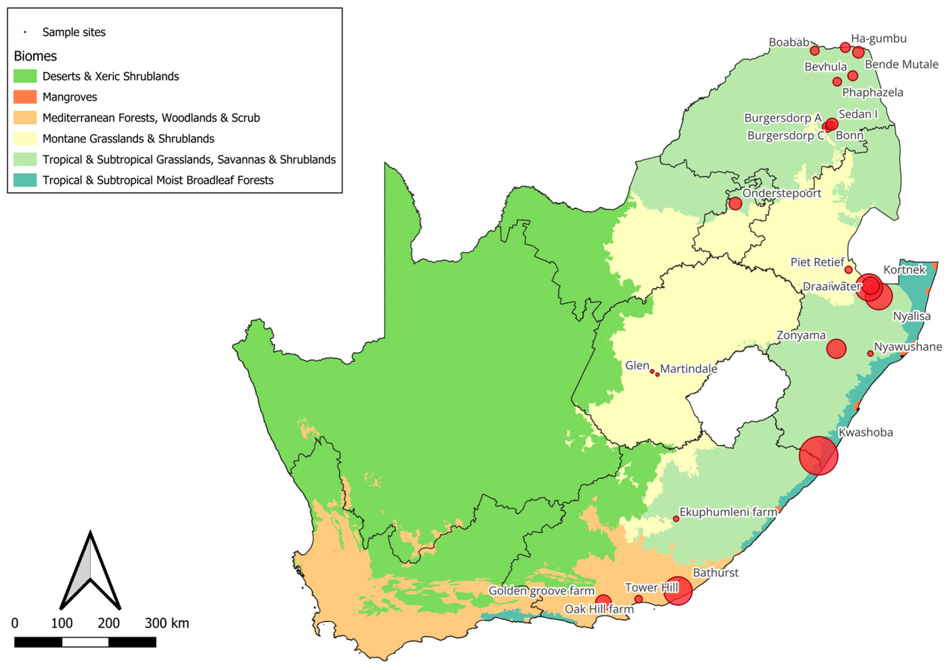 Vetsci 11 00638 g001