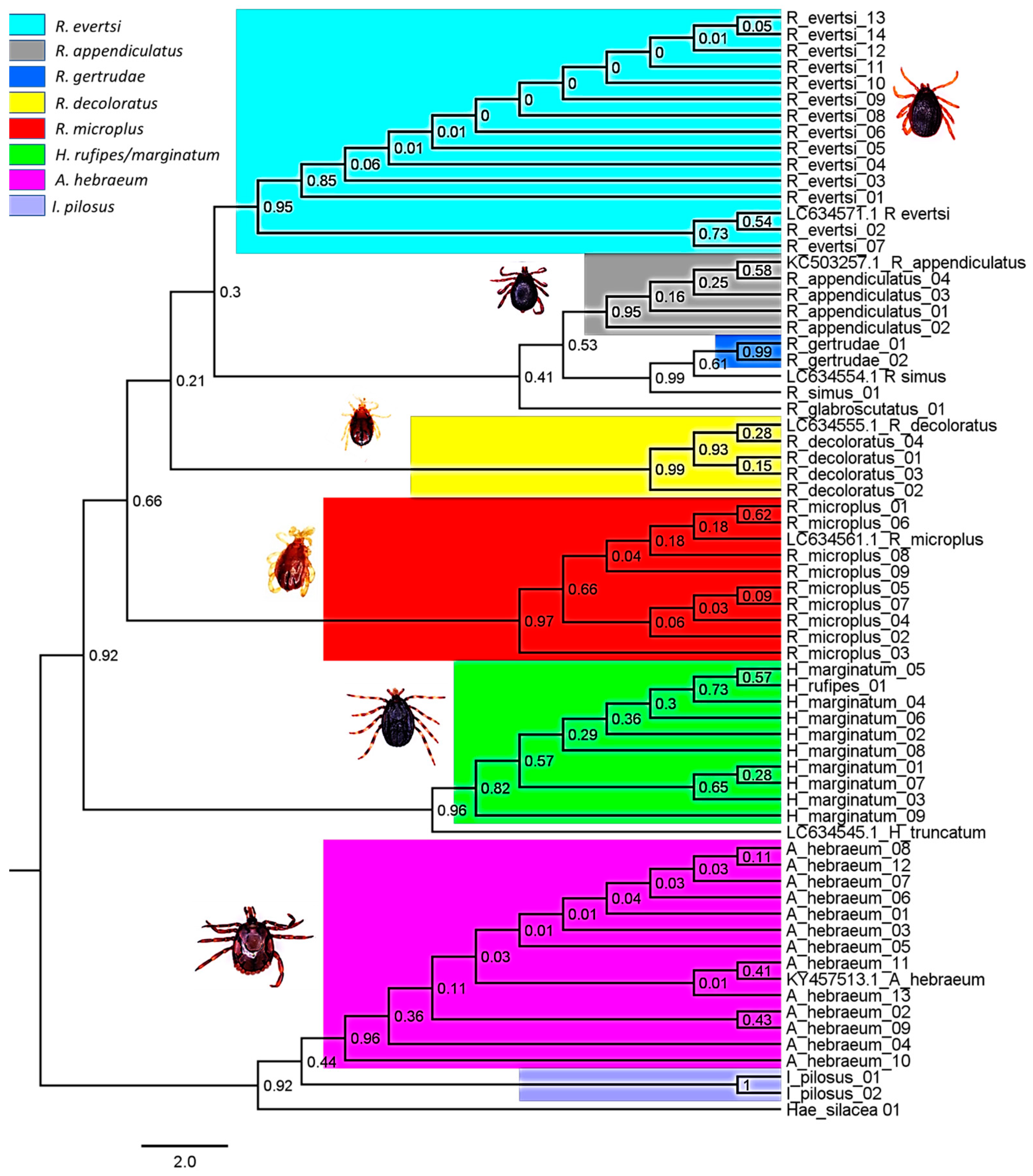 Vetsci 11 00638 g005