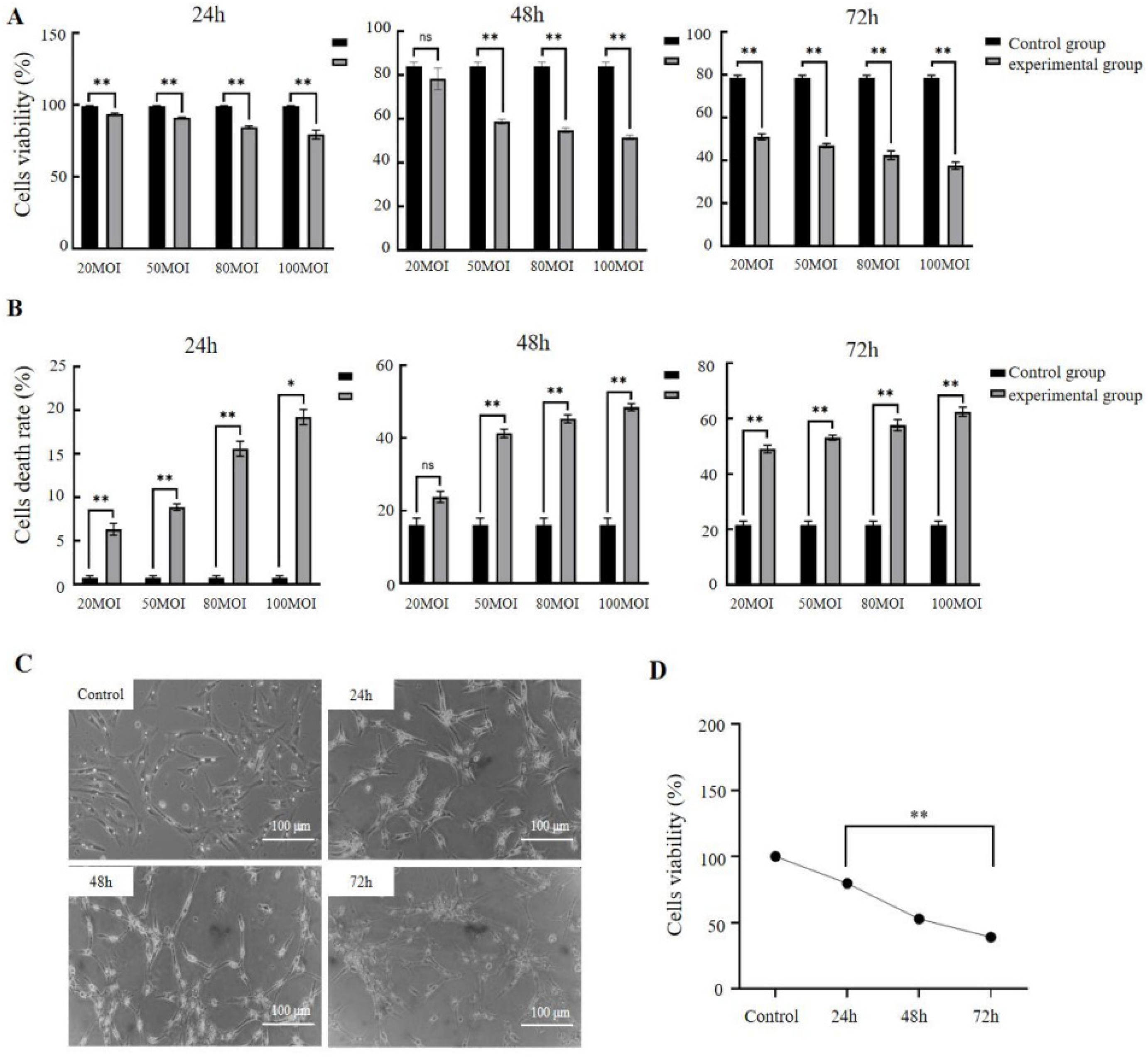 Vetsci 11 00639 g003