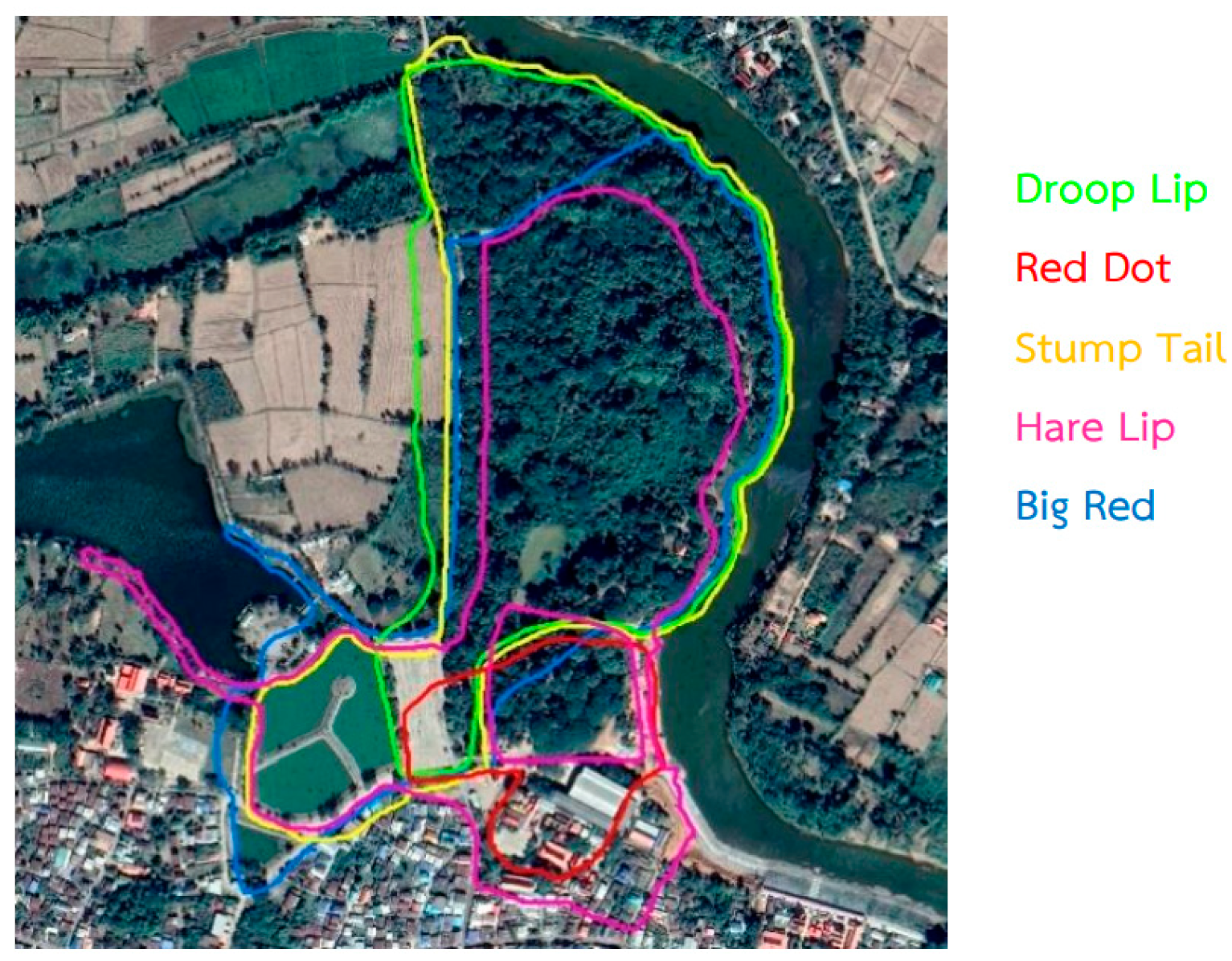 Vetsci 11 00642 g001