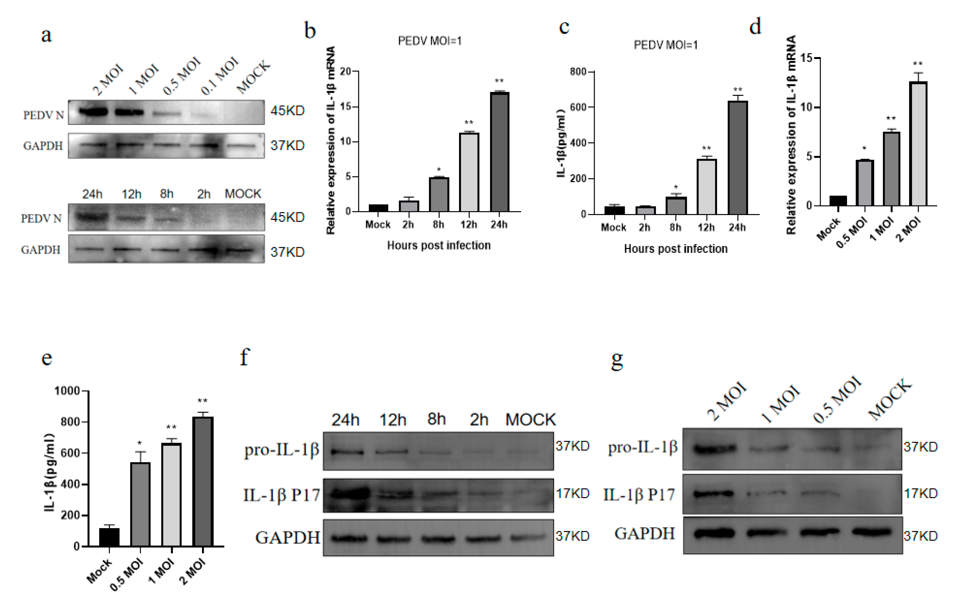 Vetsci 11 00643 g001
