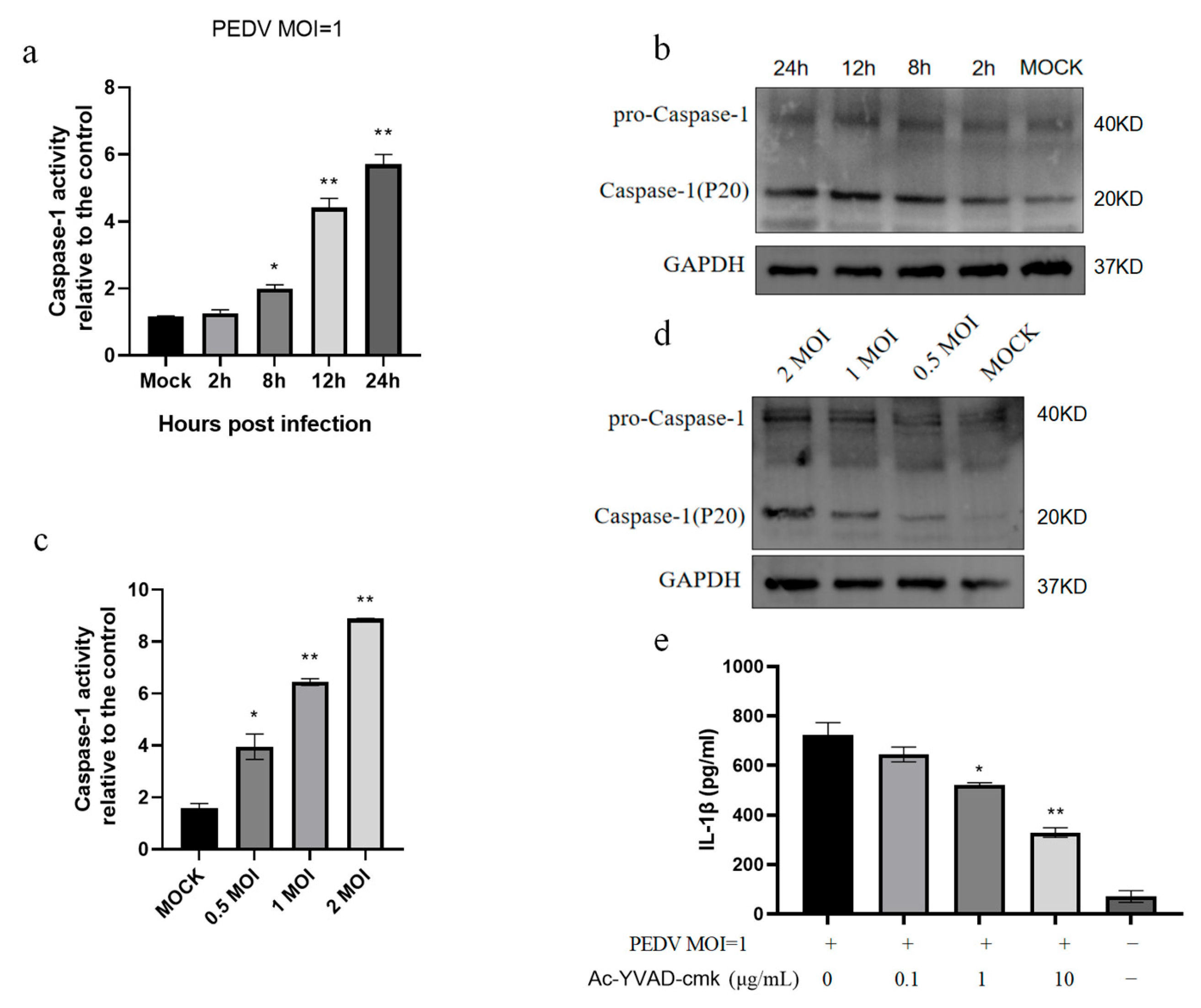 Vetsci 11 00643 g002