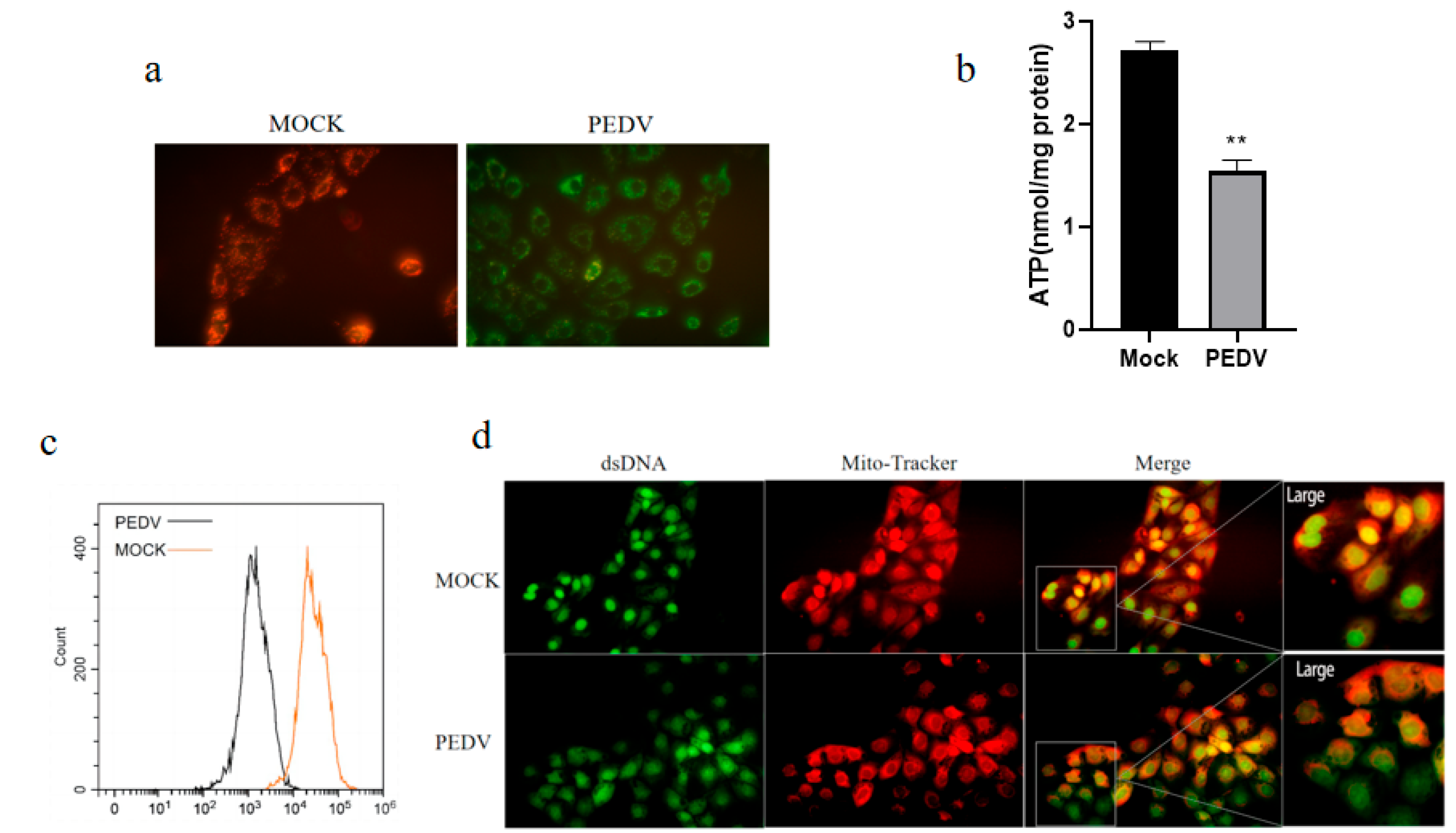 Vetsci 11 00643 g005