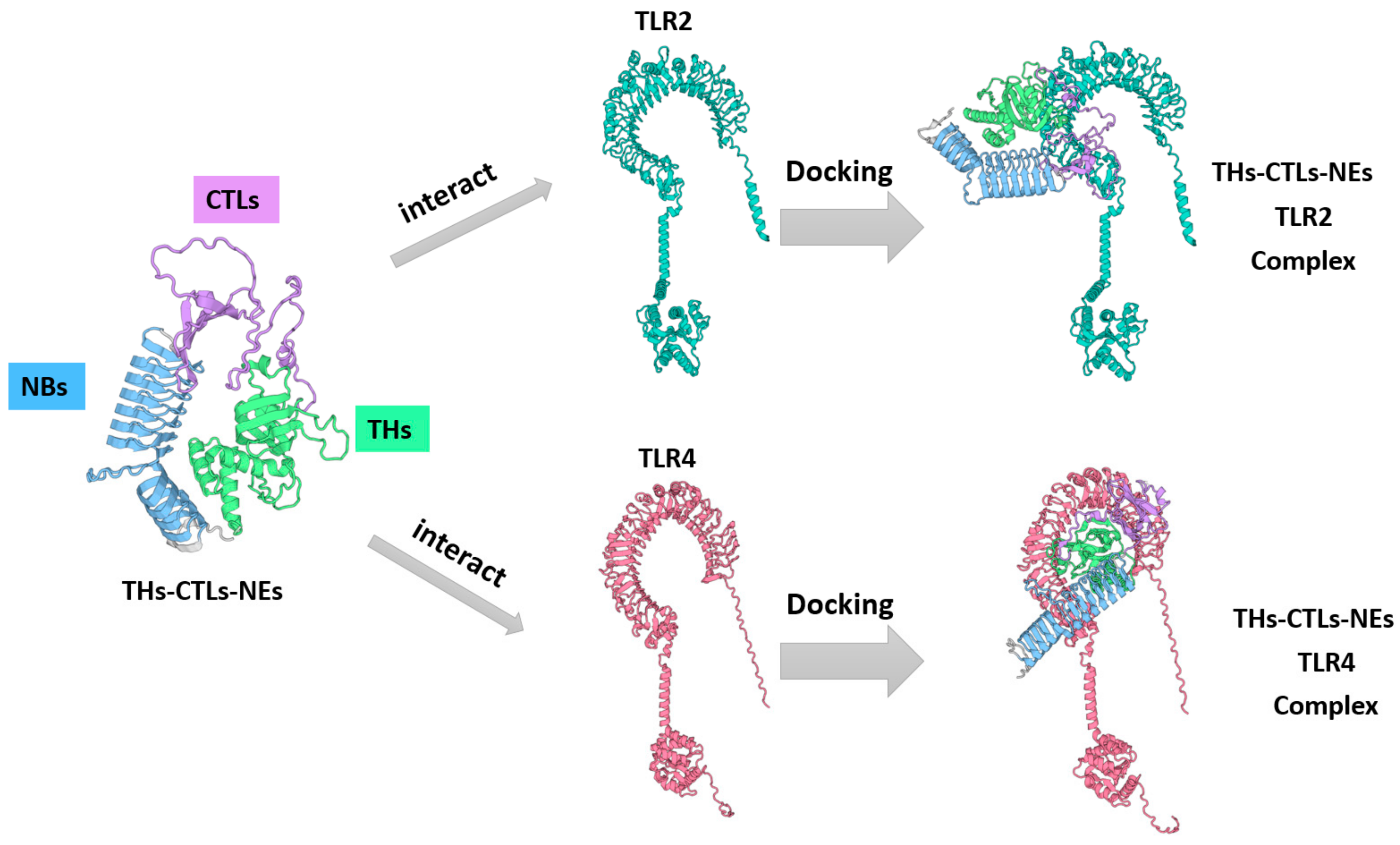 Vetsci 11 00659 g005