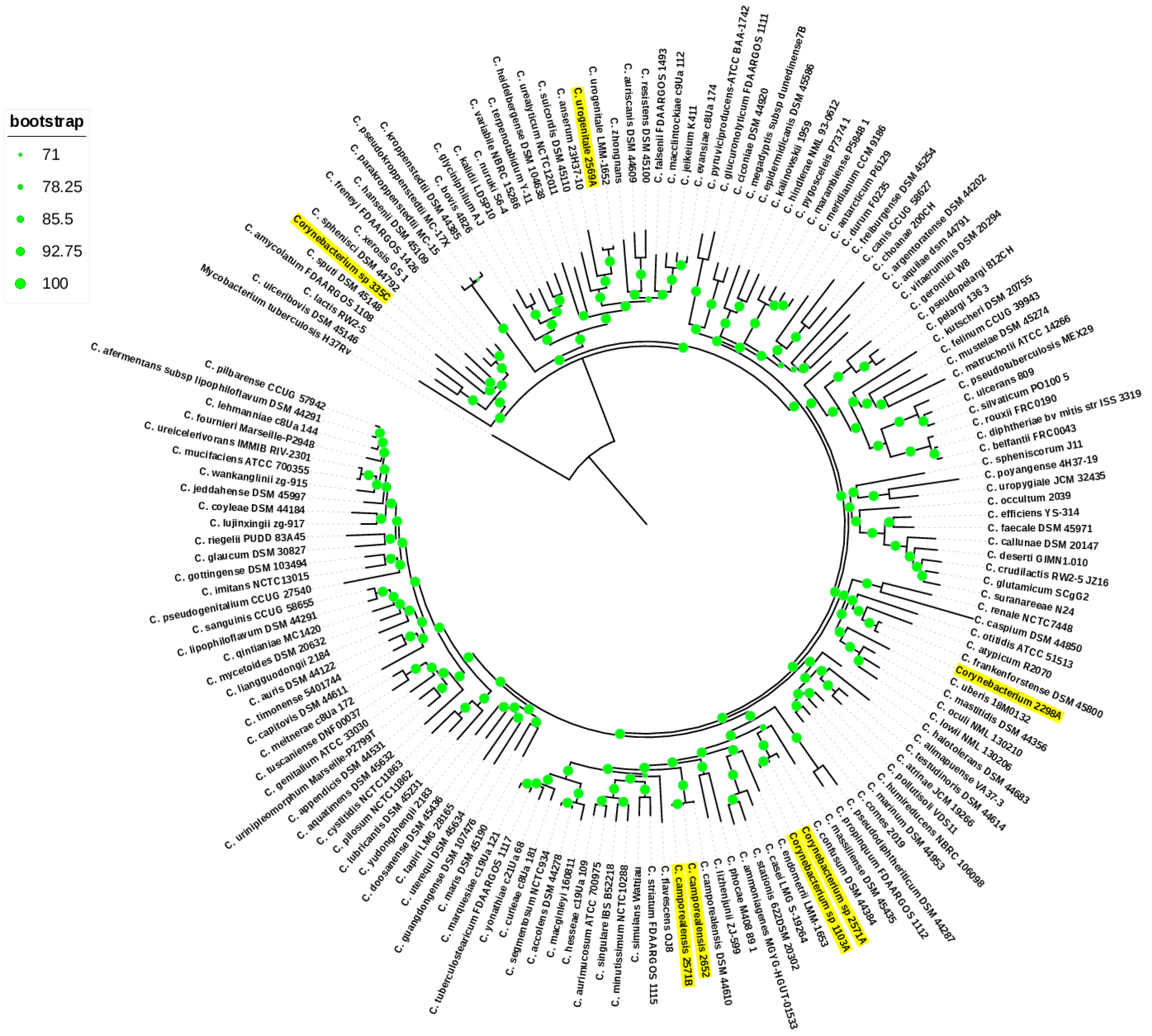 Vetsci 11 00661 g002