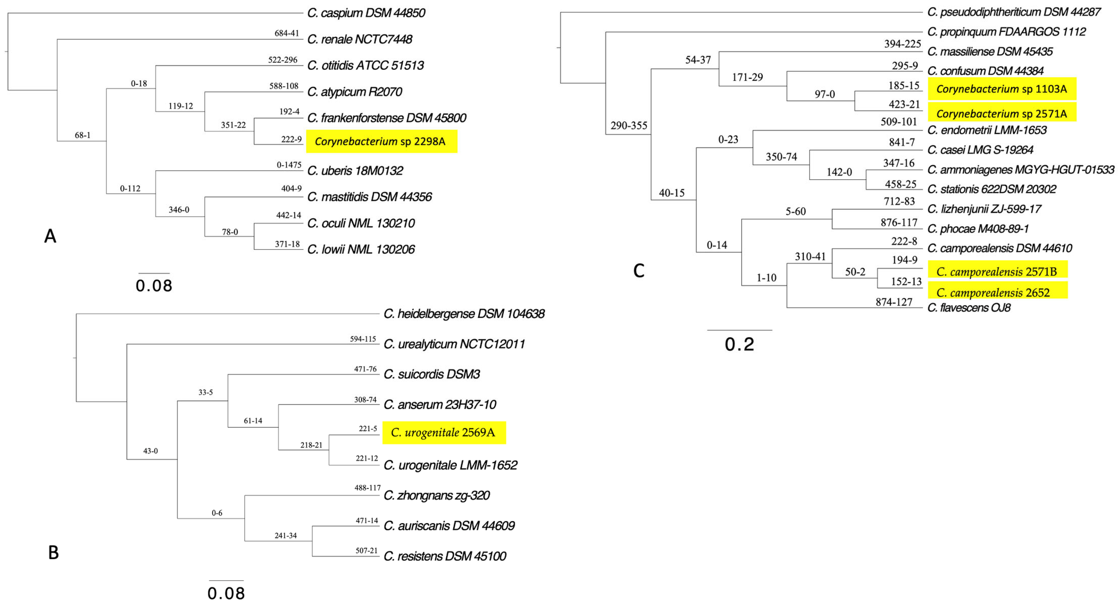 Vetsci 11 00661 g005