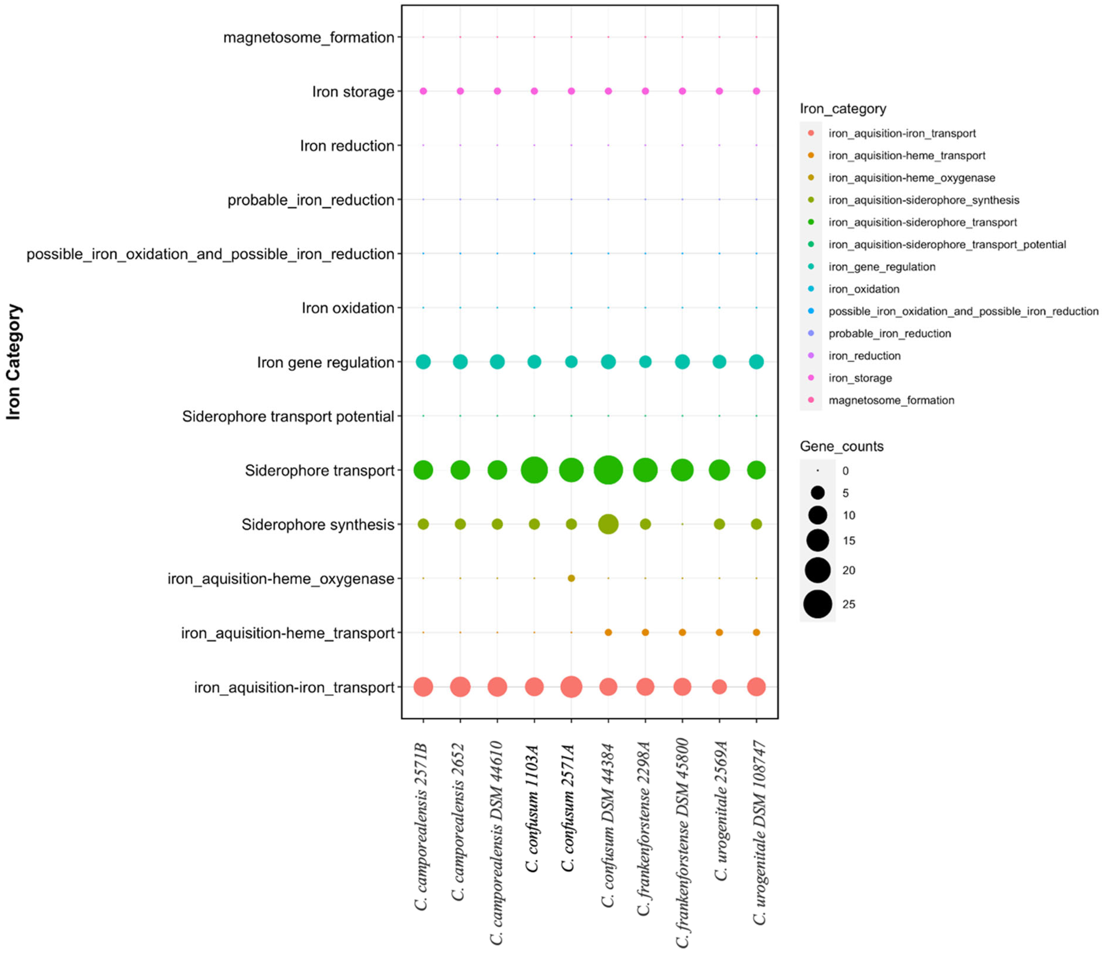 Vetsci 11 00661 g006