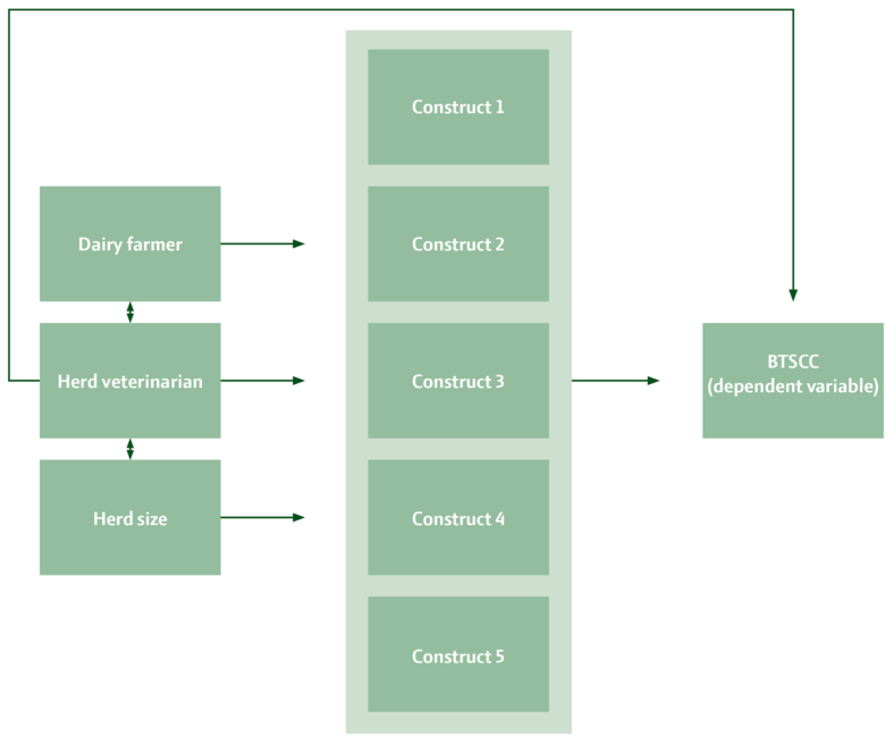 Vetsci 11 00665 g001