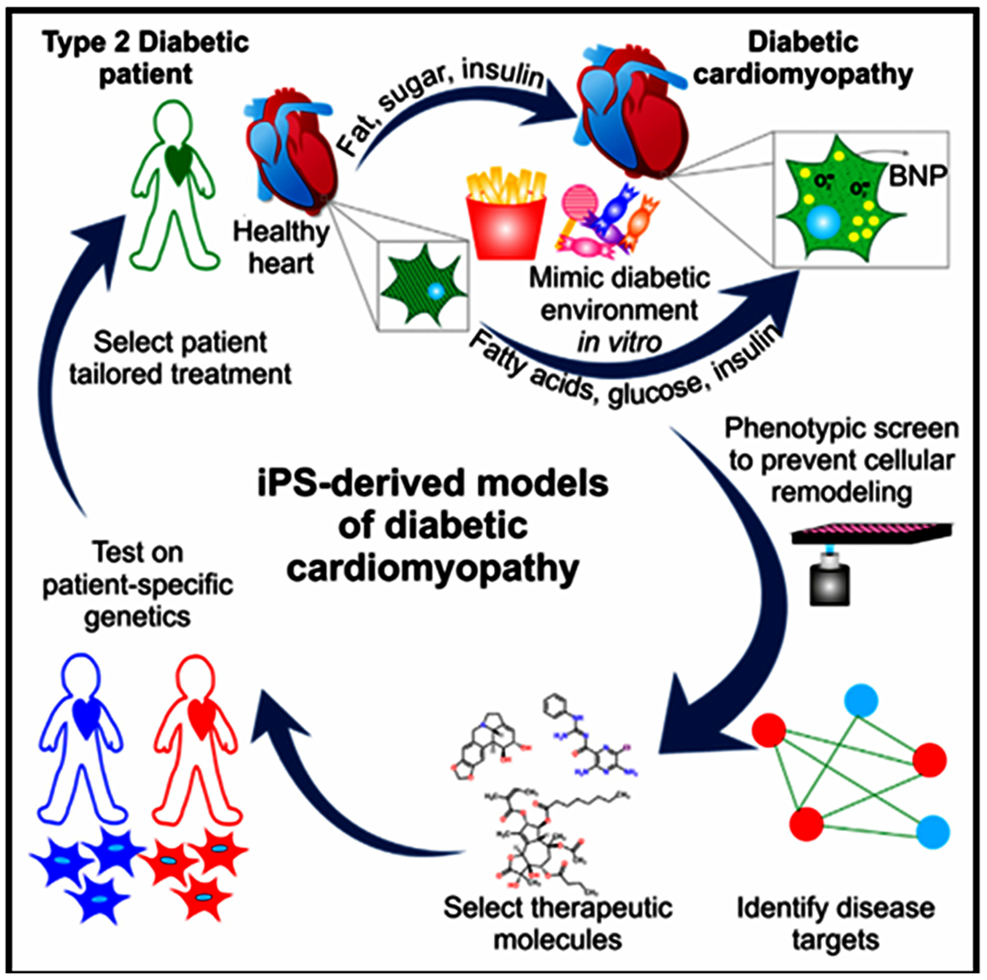 Vetsci 11 00666 g009