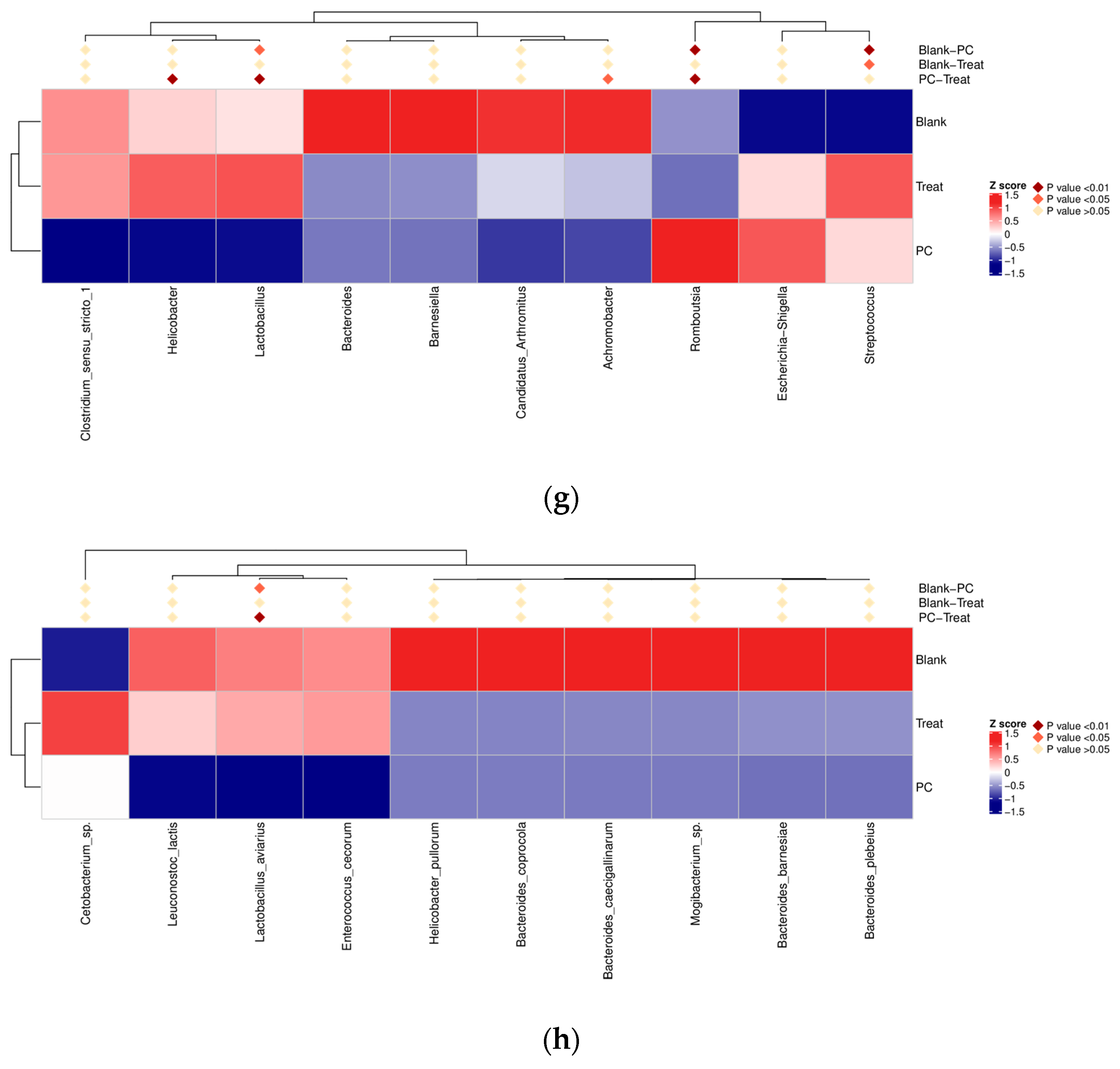 Vetsci 11 00672 g006b