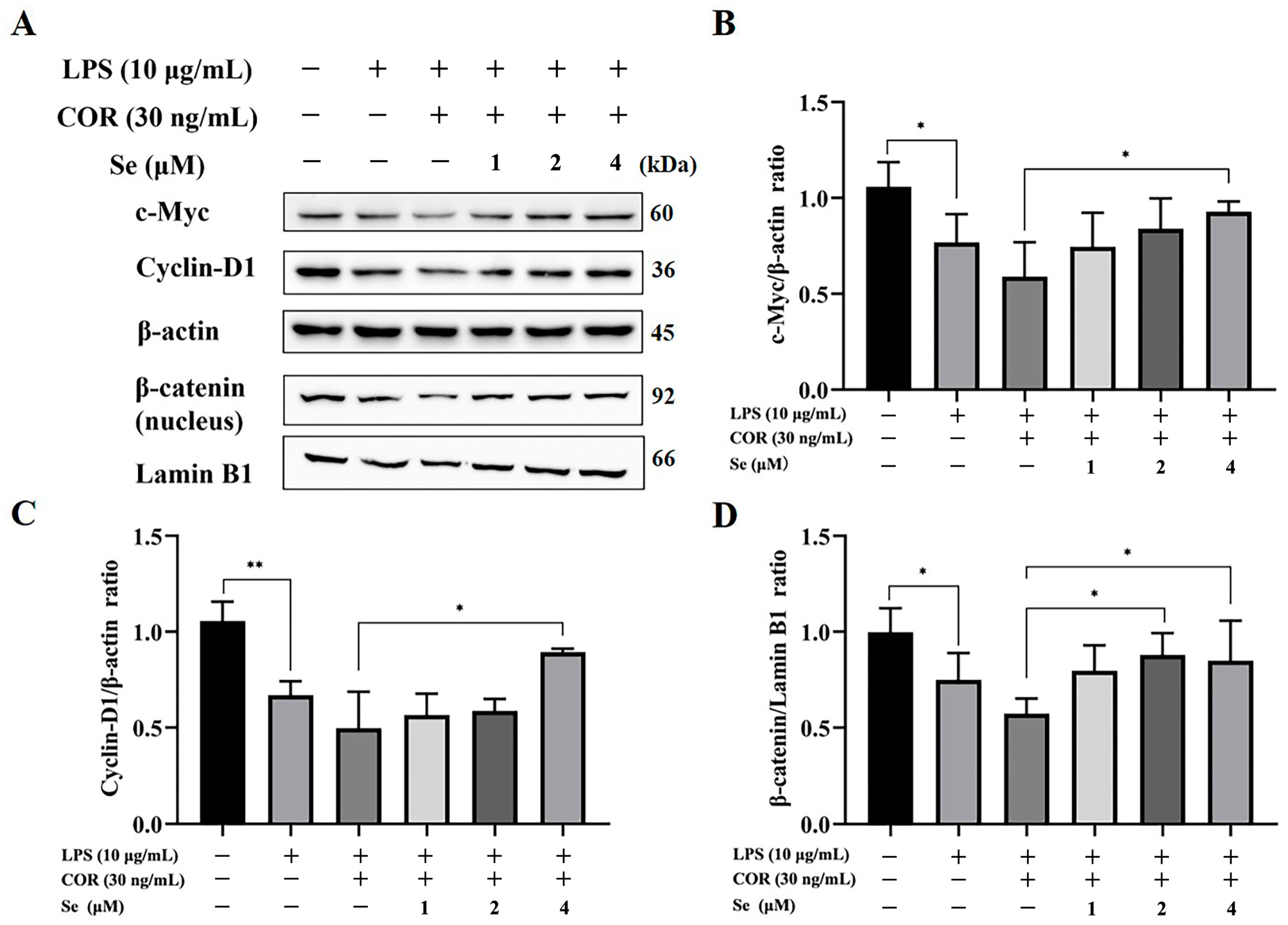 Vetsci 11 00674 g006