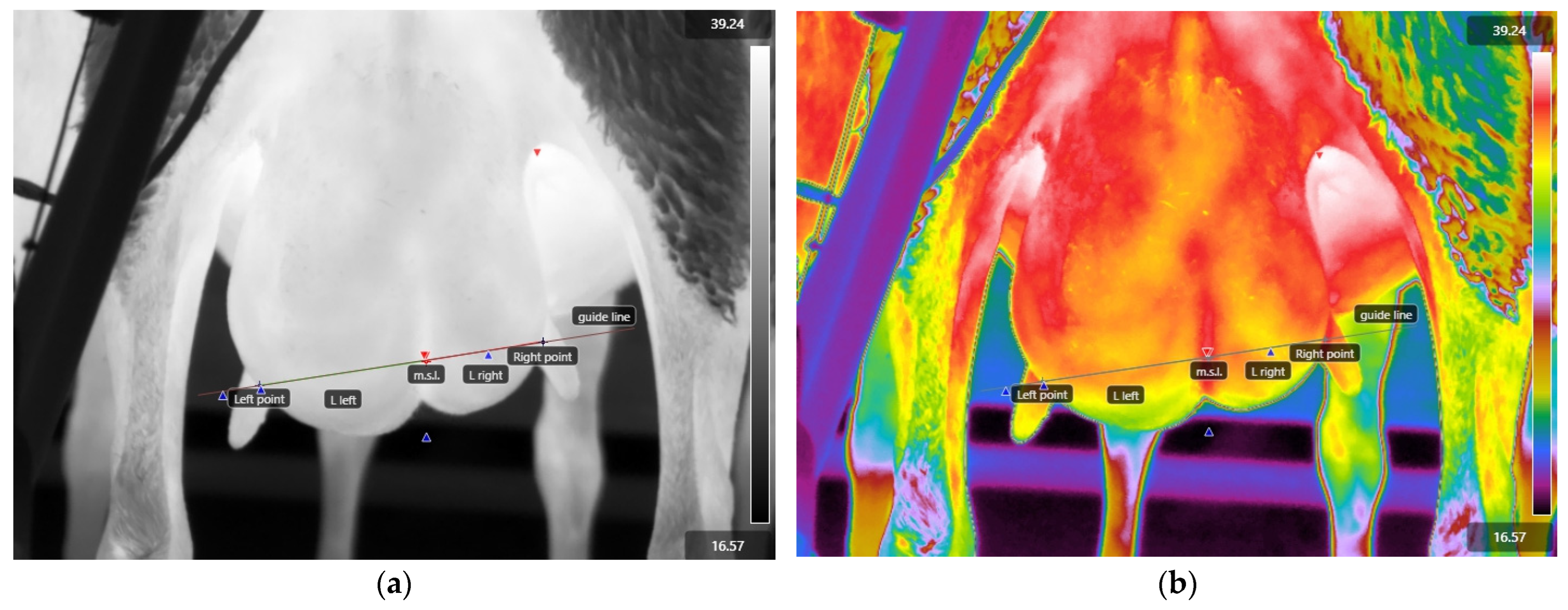 Vetsci 11 00676 g002