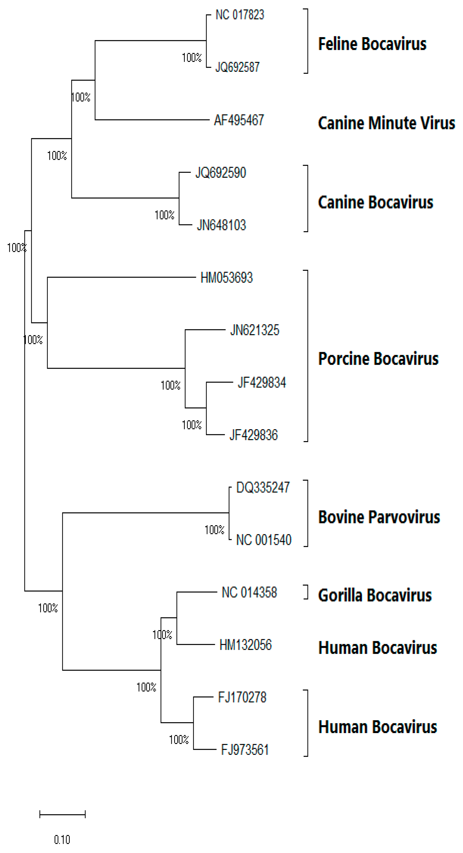 Vetsci 11 00677 g002 Vetsci 11 00677 g002