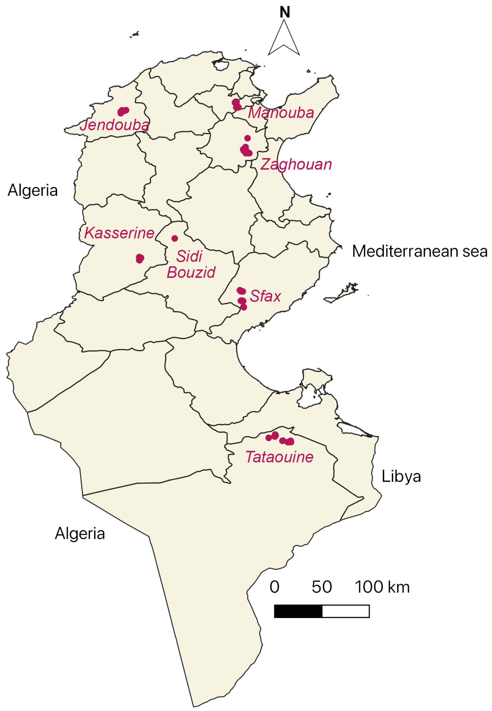 Vetsci 12 00002 g001