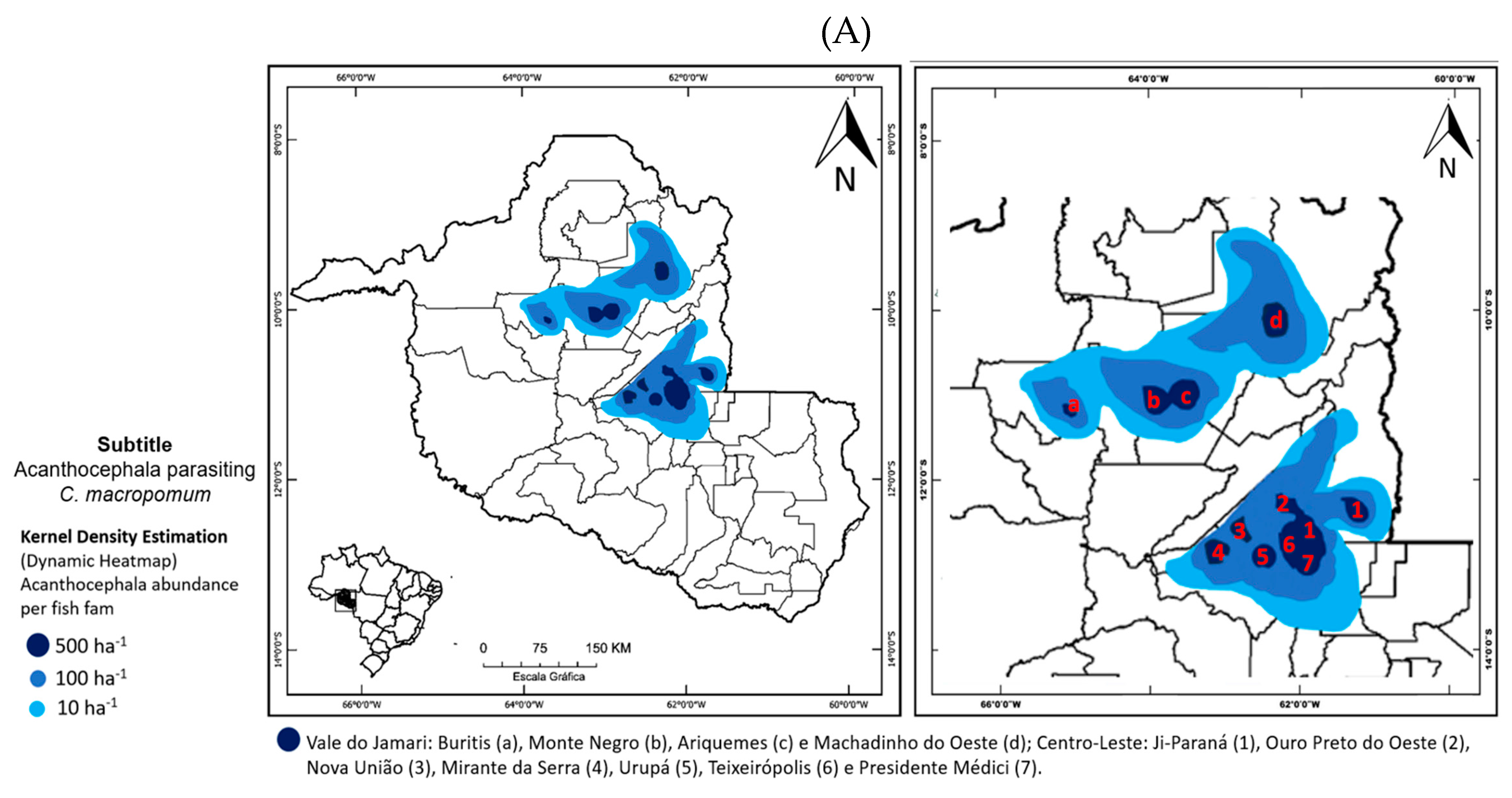 Vetsci 12 00006 g003a Vetsci 12 00006 g003a