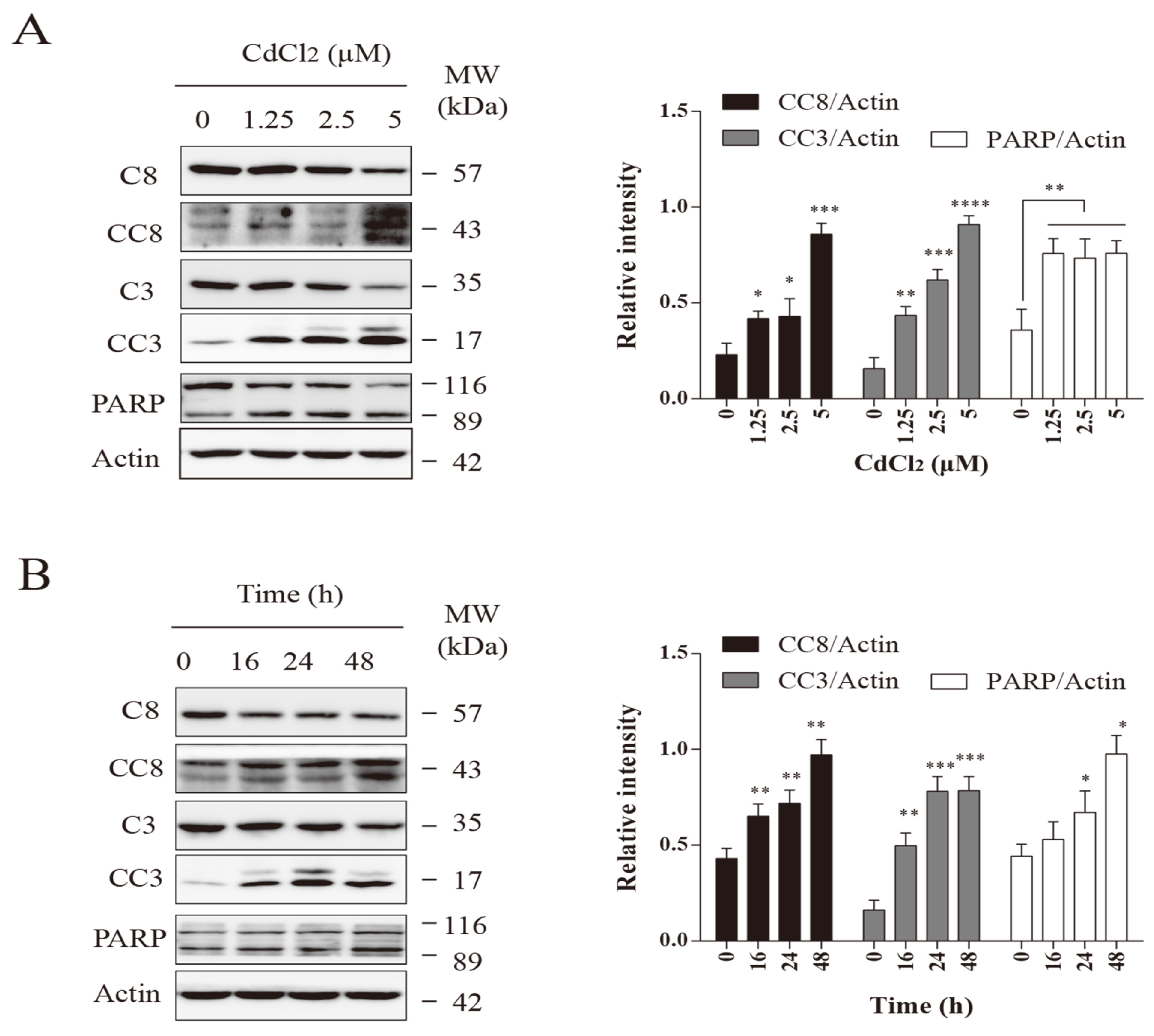 Vetsci 12 00007 g005