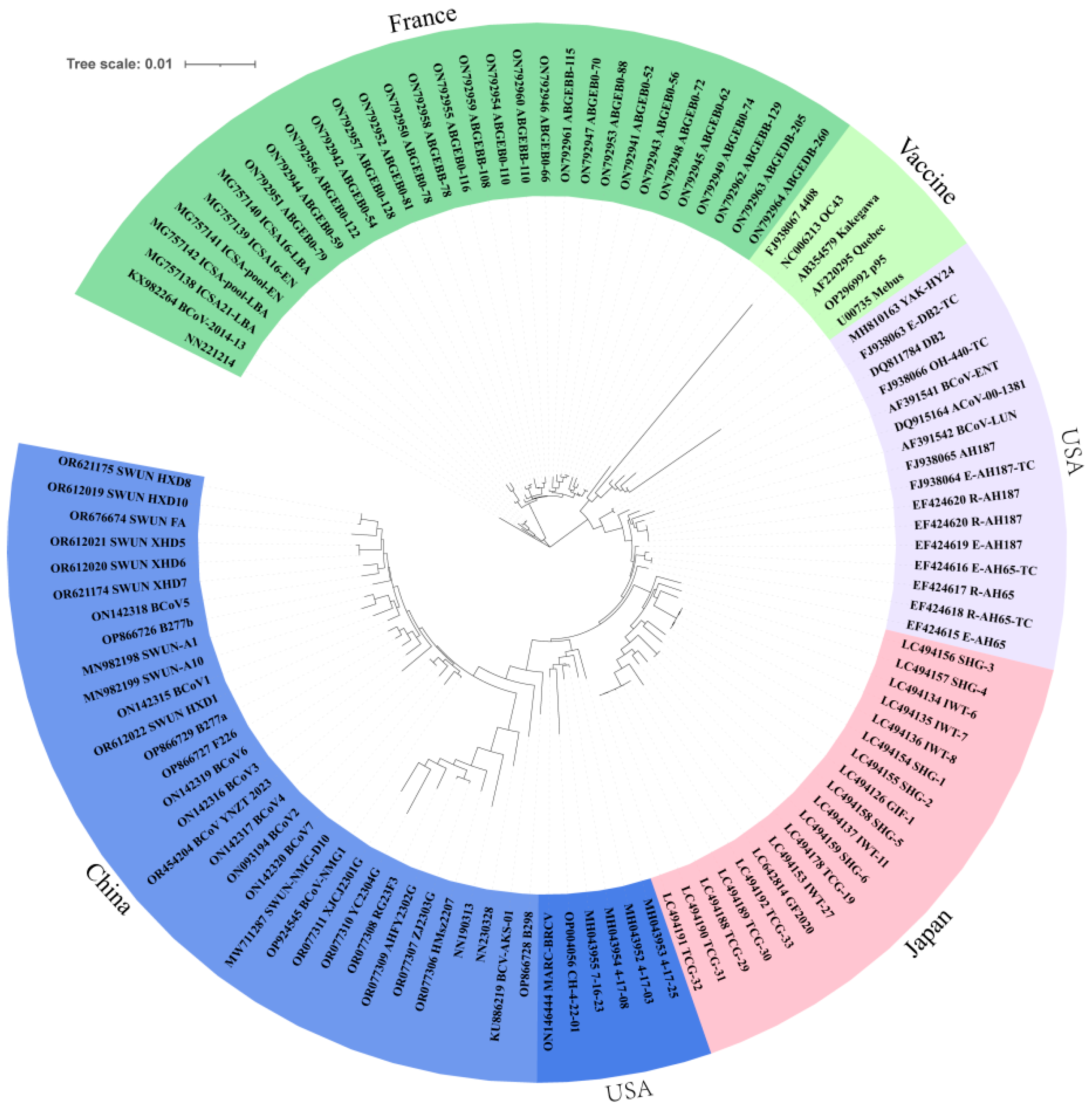 Vetsci 12 00009 g003
