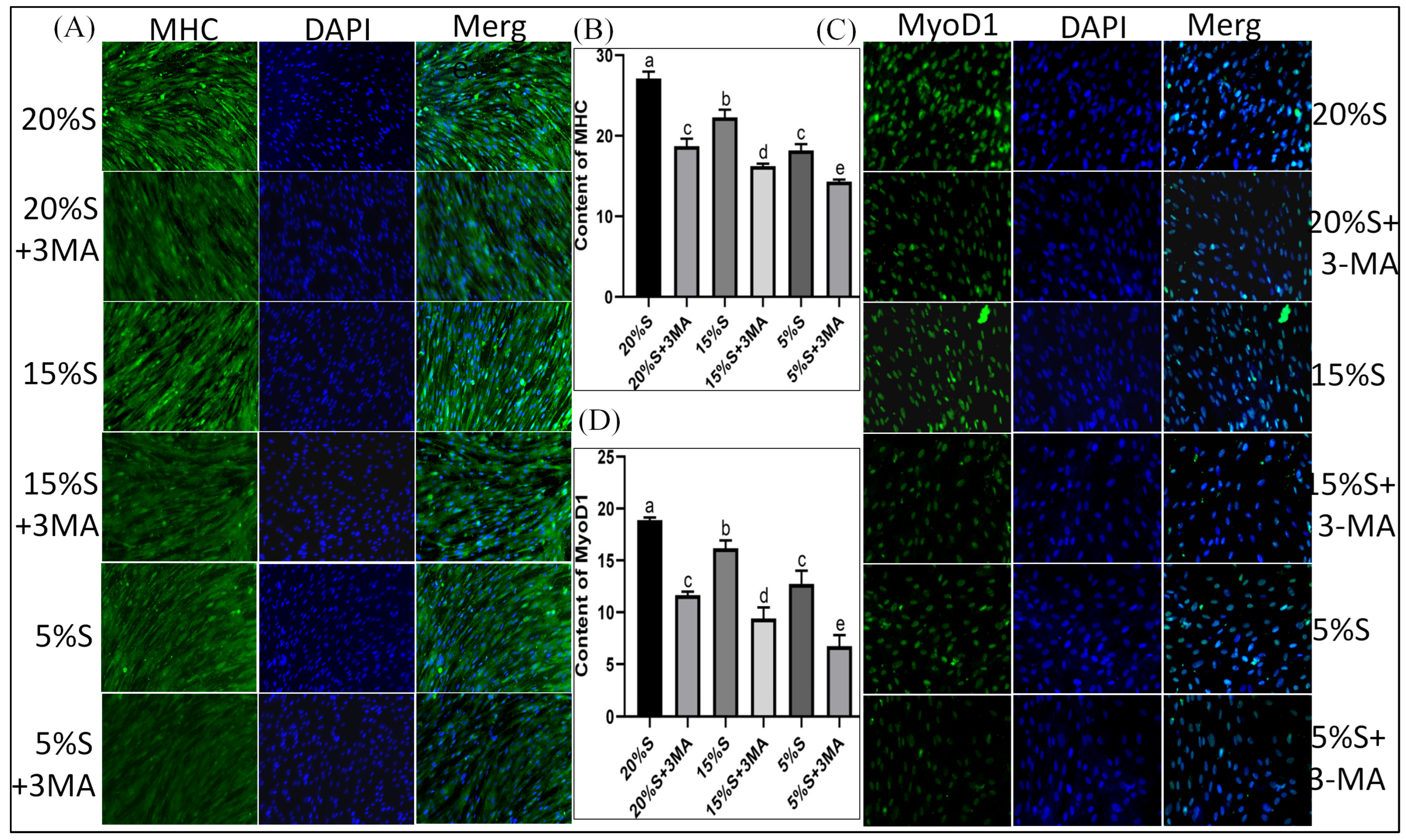 Vetsci 12 00011 g005 Vetsci 12 00011 g005