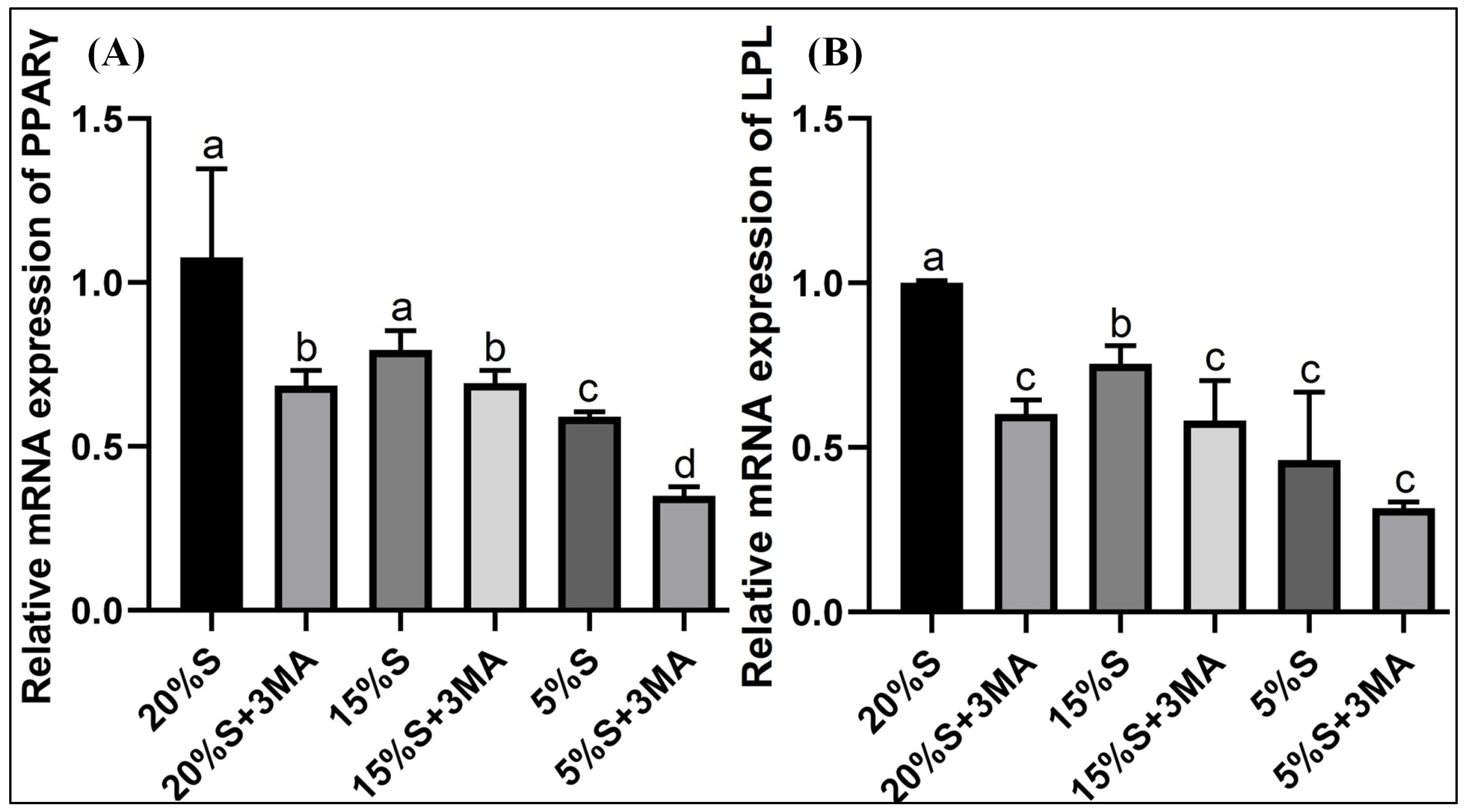 Vetsci 12 00011 g006 Vetsci 12 00011 g006