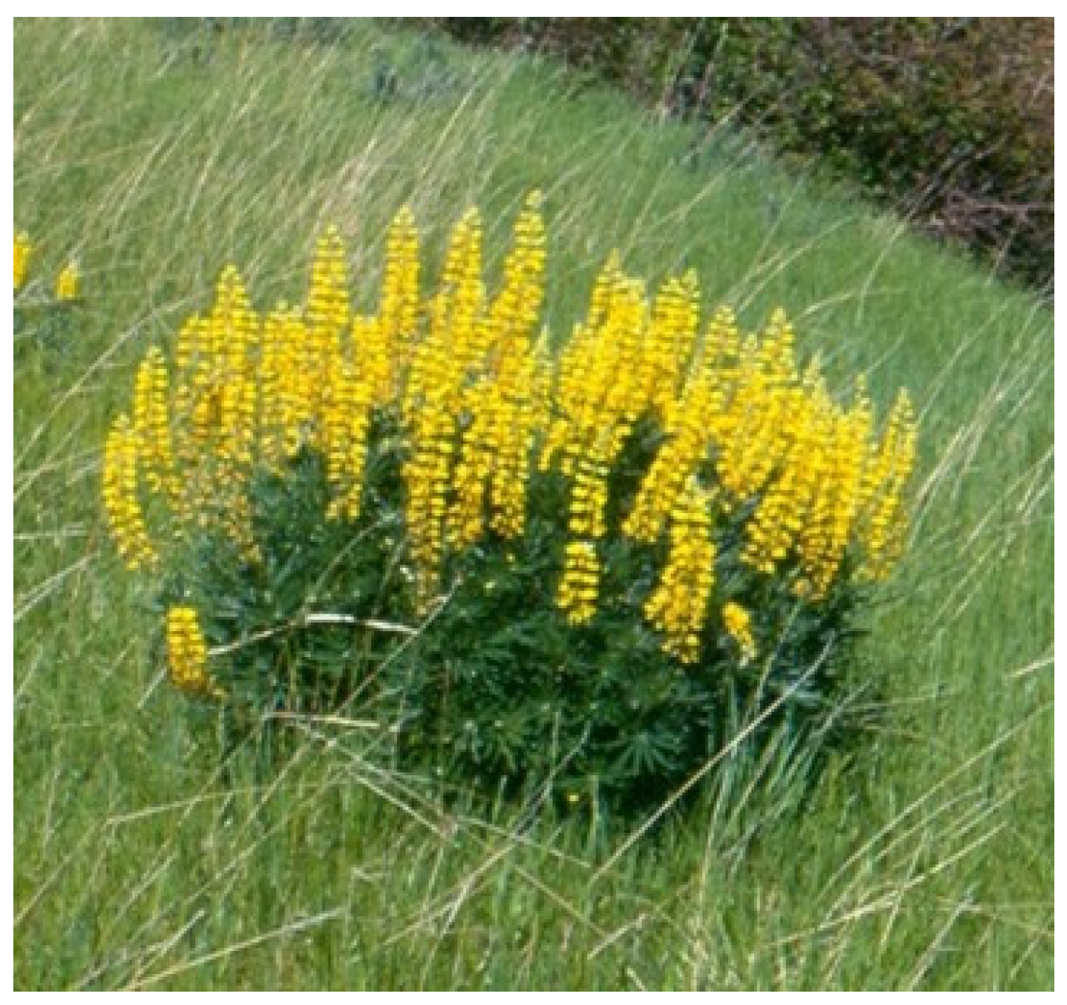 Vetsci 12 00013 g004